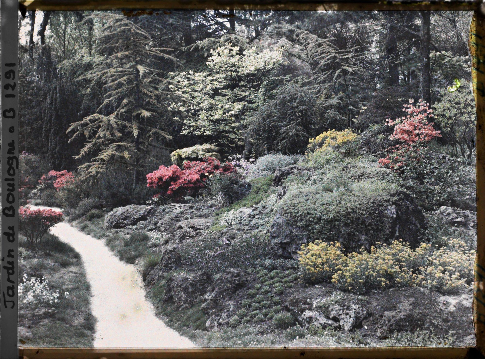 Image représentant Rocaille fleurie au bord d'un chemin du " sanctuaire japonais " située non loin du sorinto