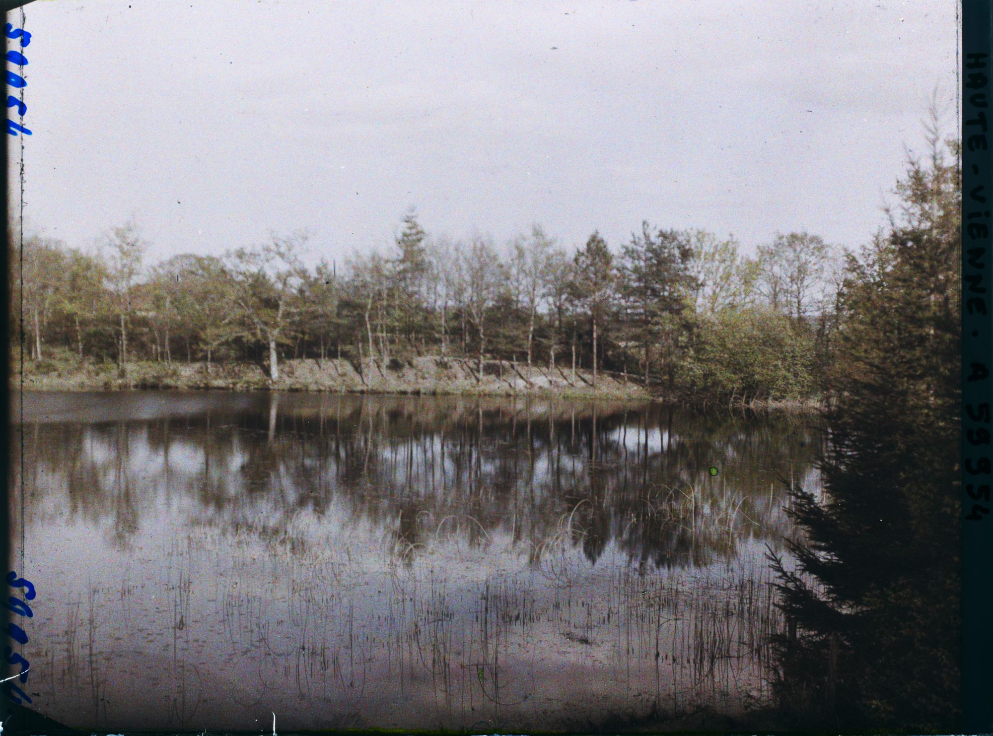 Image représentant Un étang aux environs de Saint-Yrieix-La-Perche