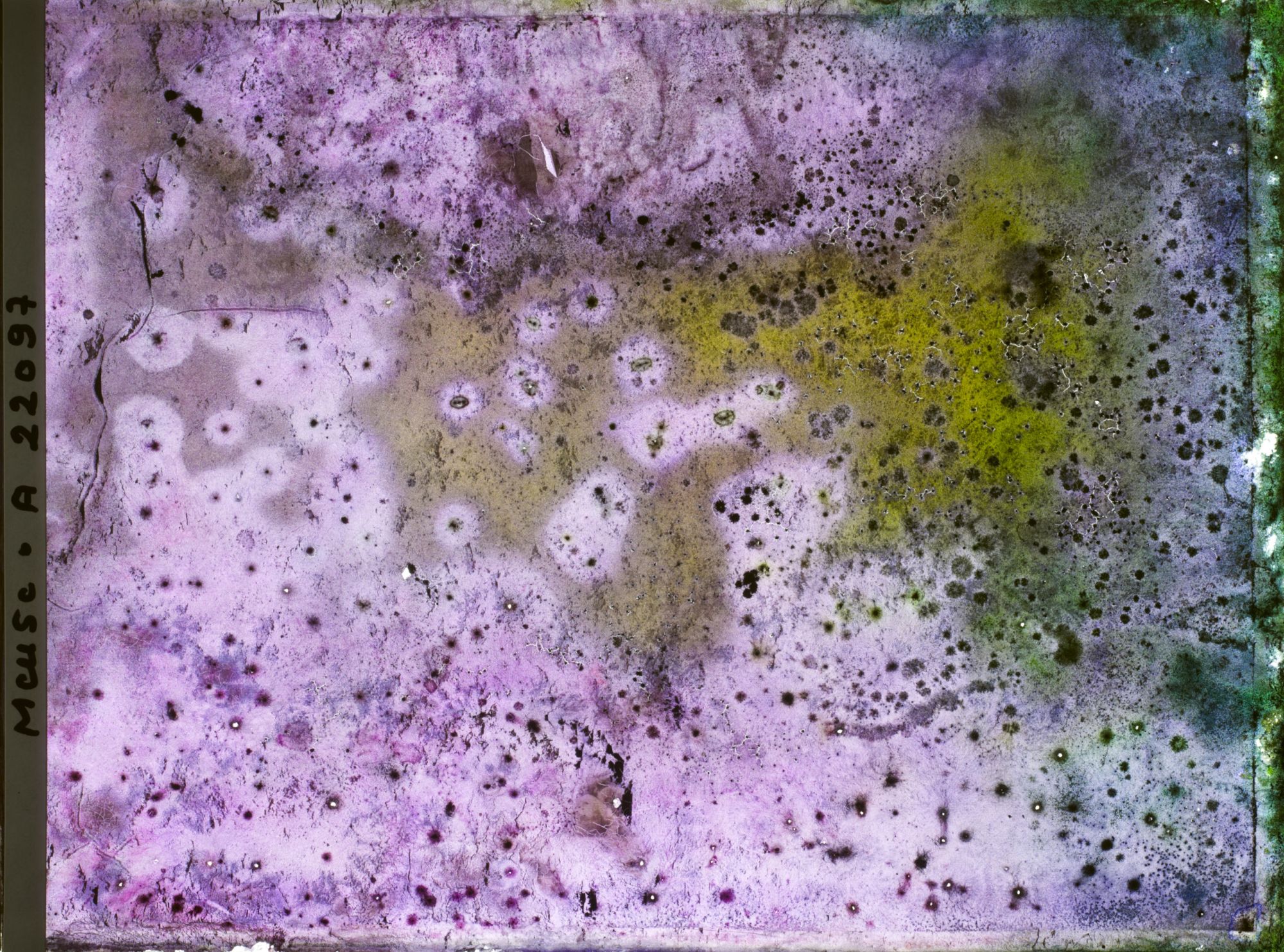 Image représentant Image illisible, plaque endommagée par l'eau (altérations d'époque)