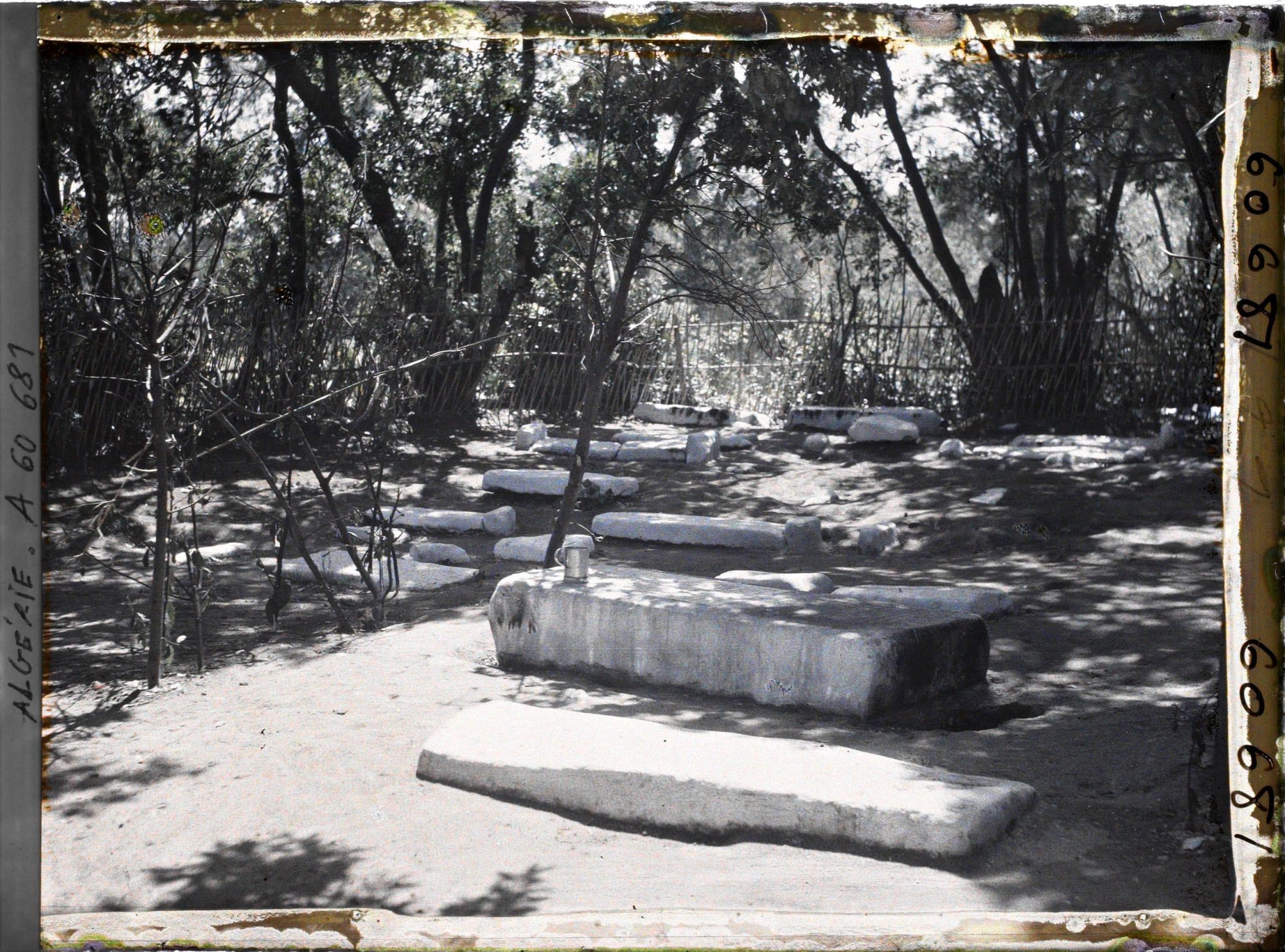 Image représentant La tombe du Rabb Ankaoua dans le cimetière israélite