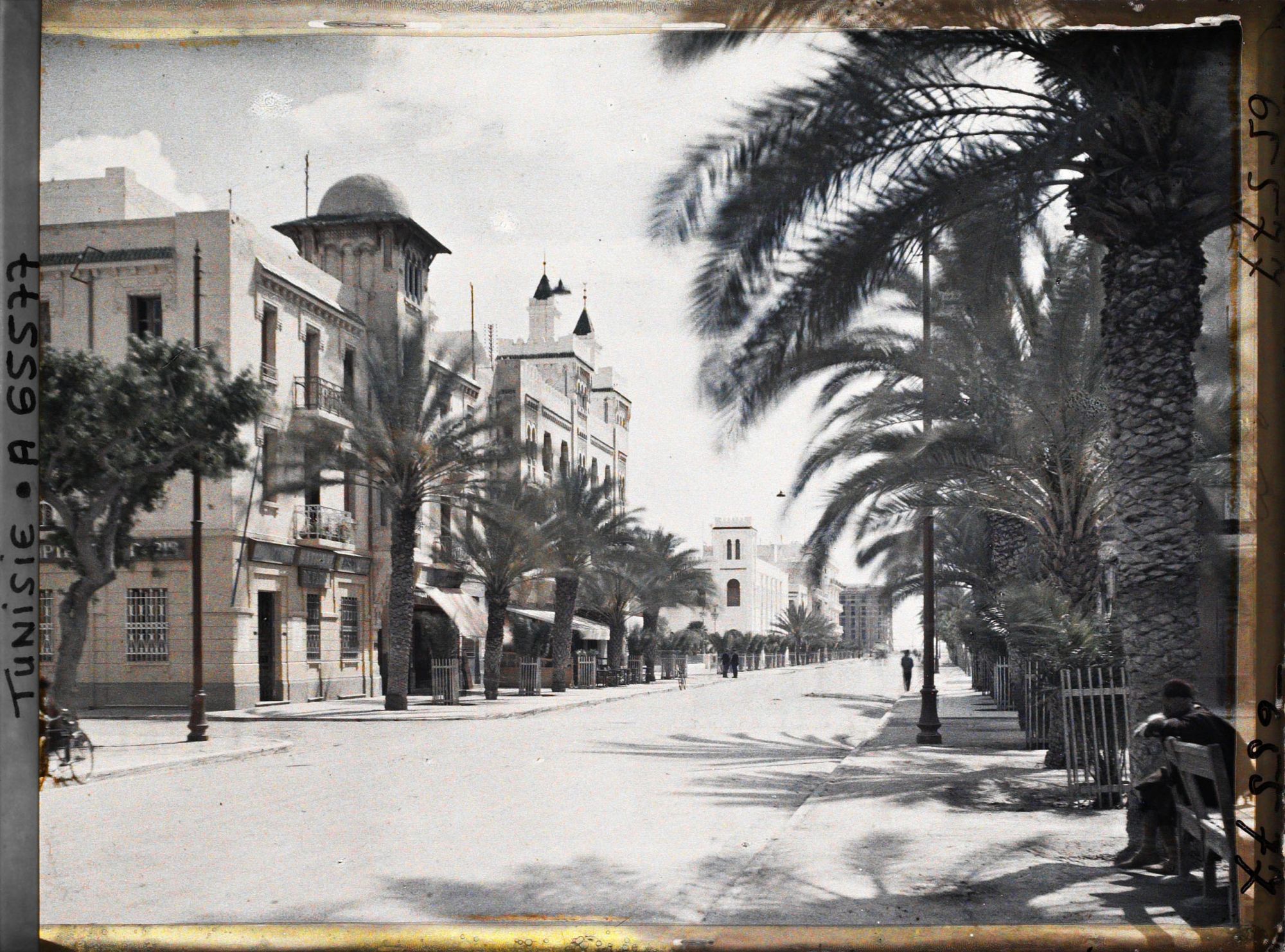 Image représentant L'avenue Jules Gau