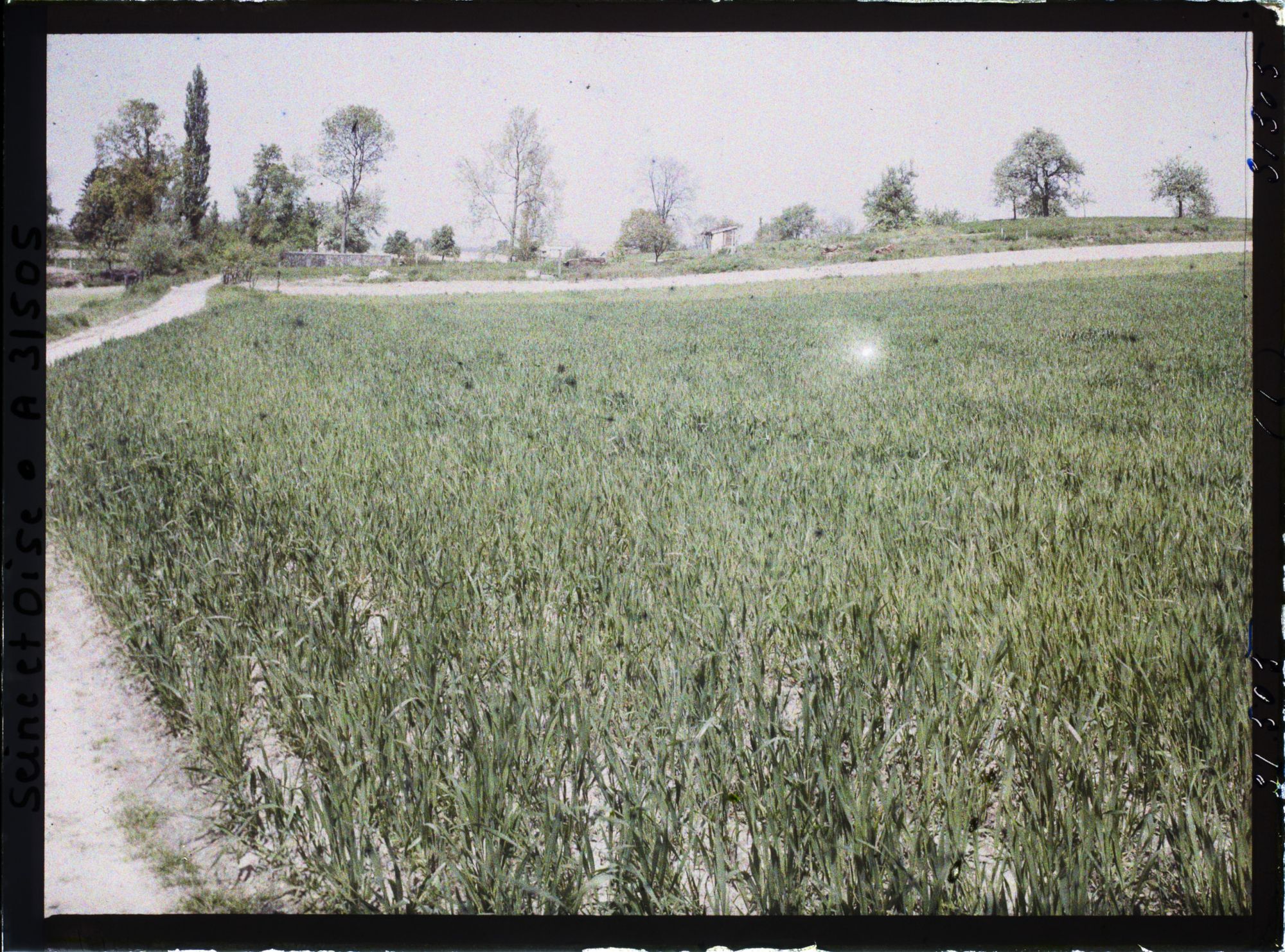 Image représentant France, Fontenay-Fleuri, Un champ de blé N° 1