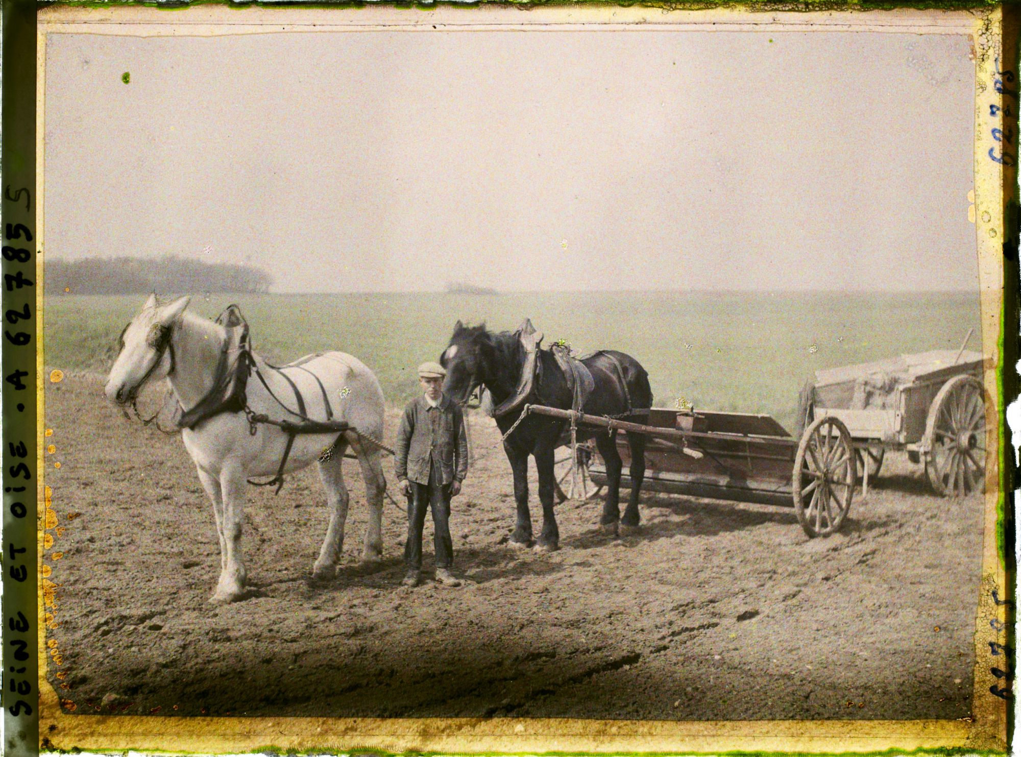 Image représentant Ile de France, Vallangoujard, Cultivateur recouvrant d'engrais un champ ensemencé de betteraves