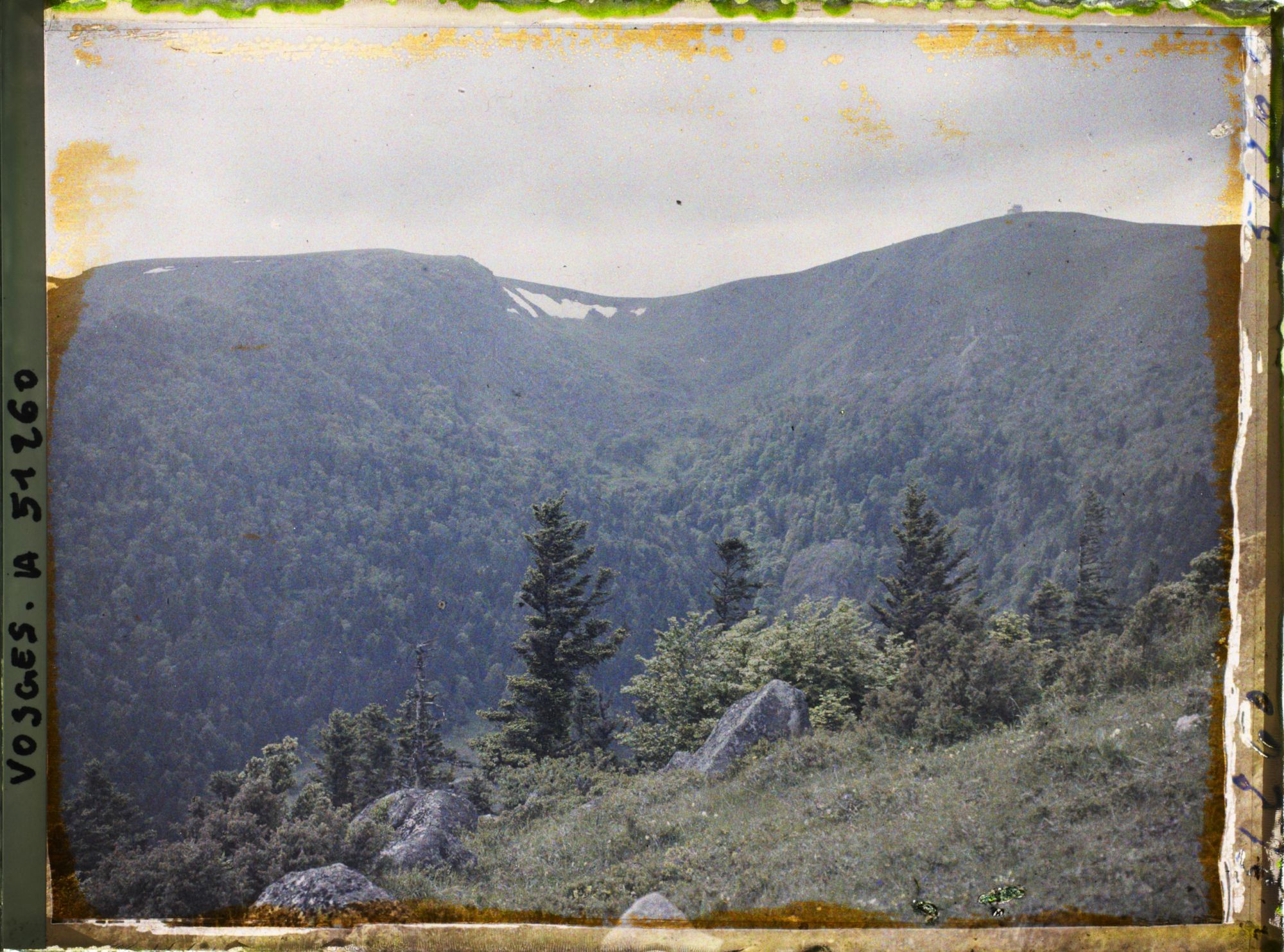 Image représentant Alsace, Houhneck, Ravin du Wormspelle et du Honhneck