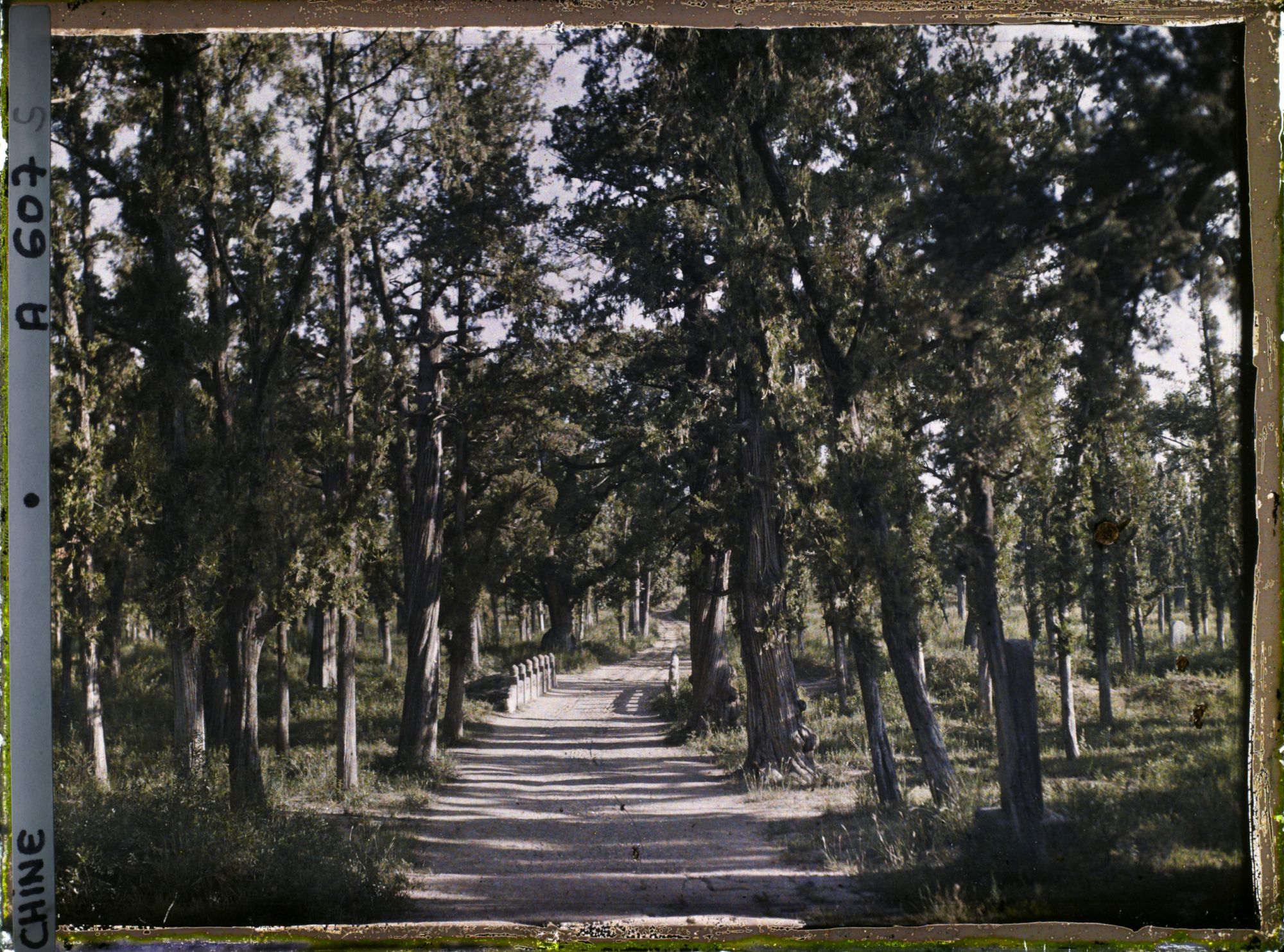 Image représentant Konglin, la nécropole de la famille de Confucius