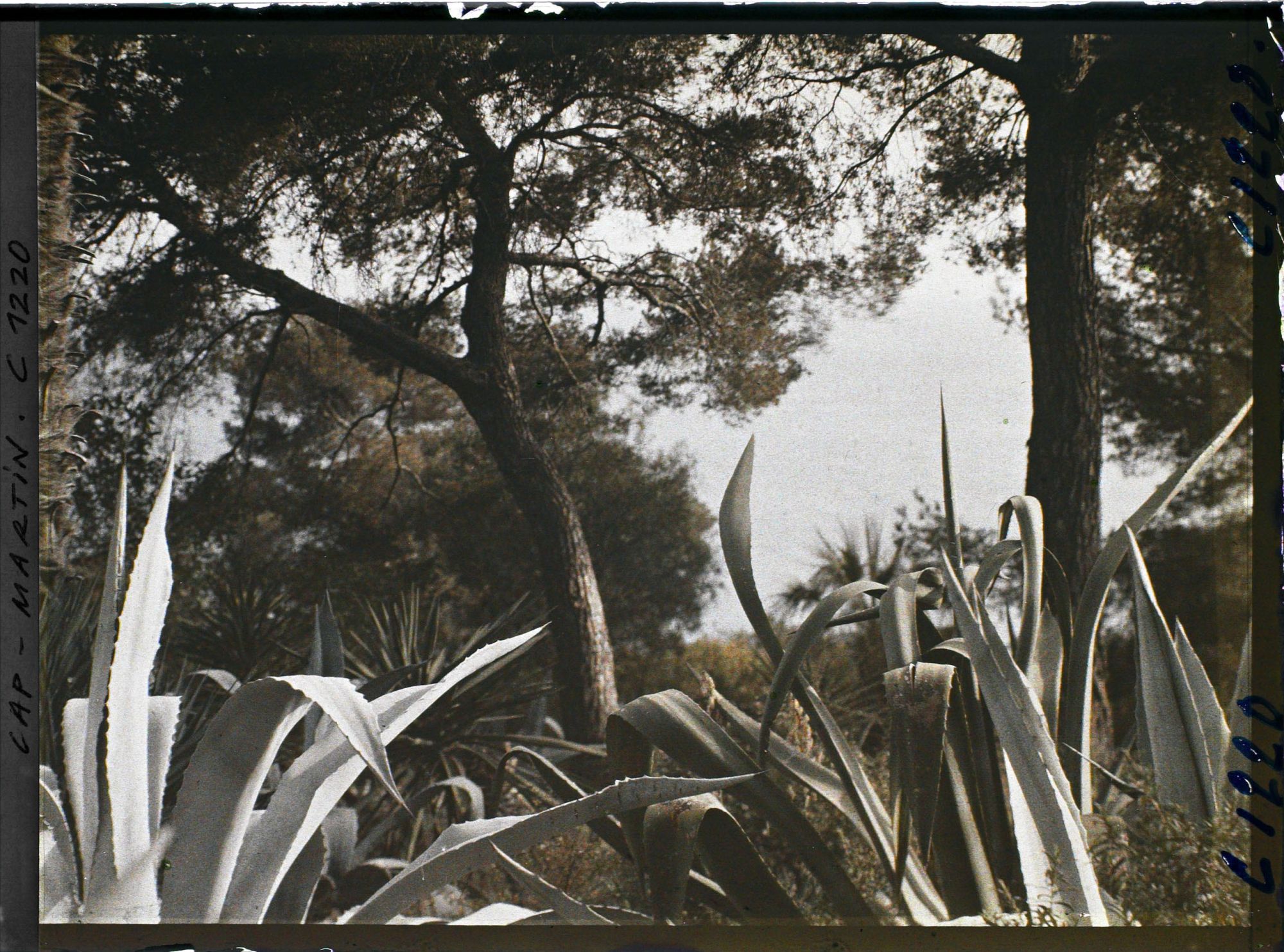 Image représentant coucher de Soleil