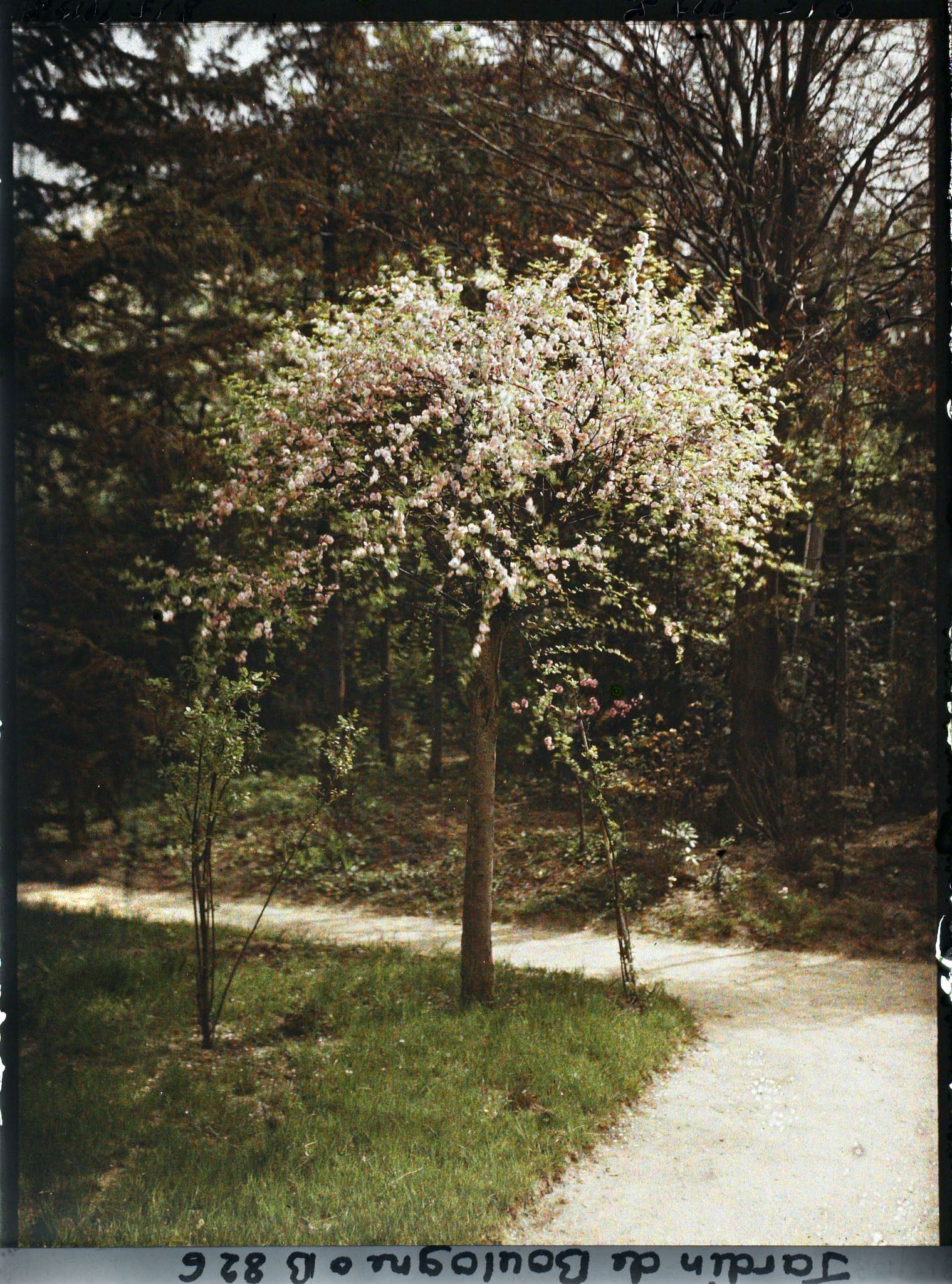 Image représentant Près du verger ?