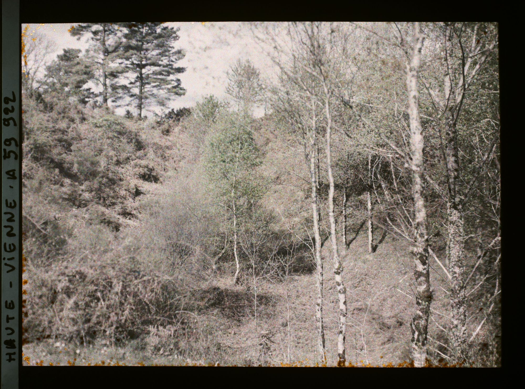 Image représentant L'ancienne fosse de la mine de Leycuras