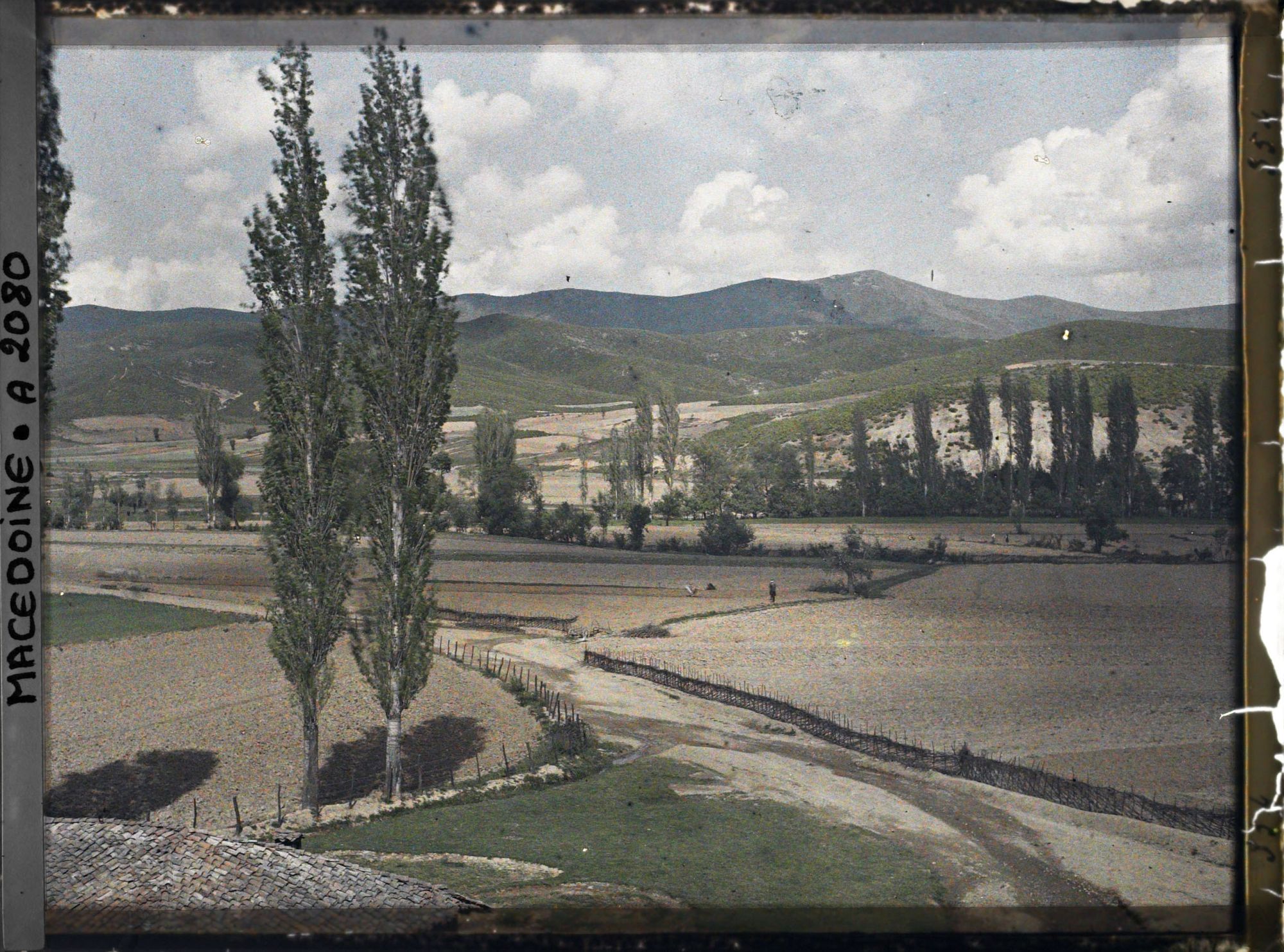 Image représentant Fonds cultivés avec versants couverts de maquis de chênes et deux peupliers