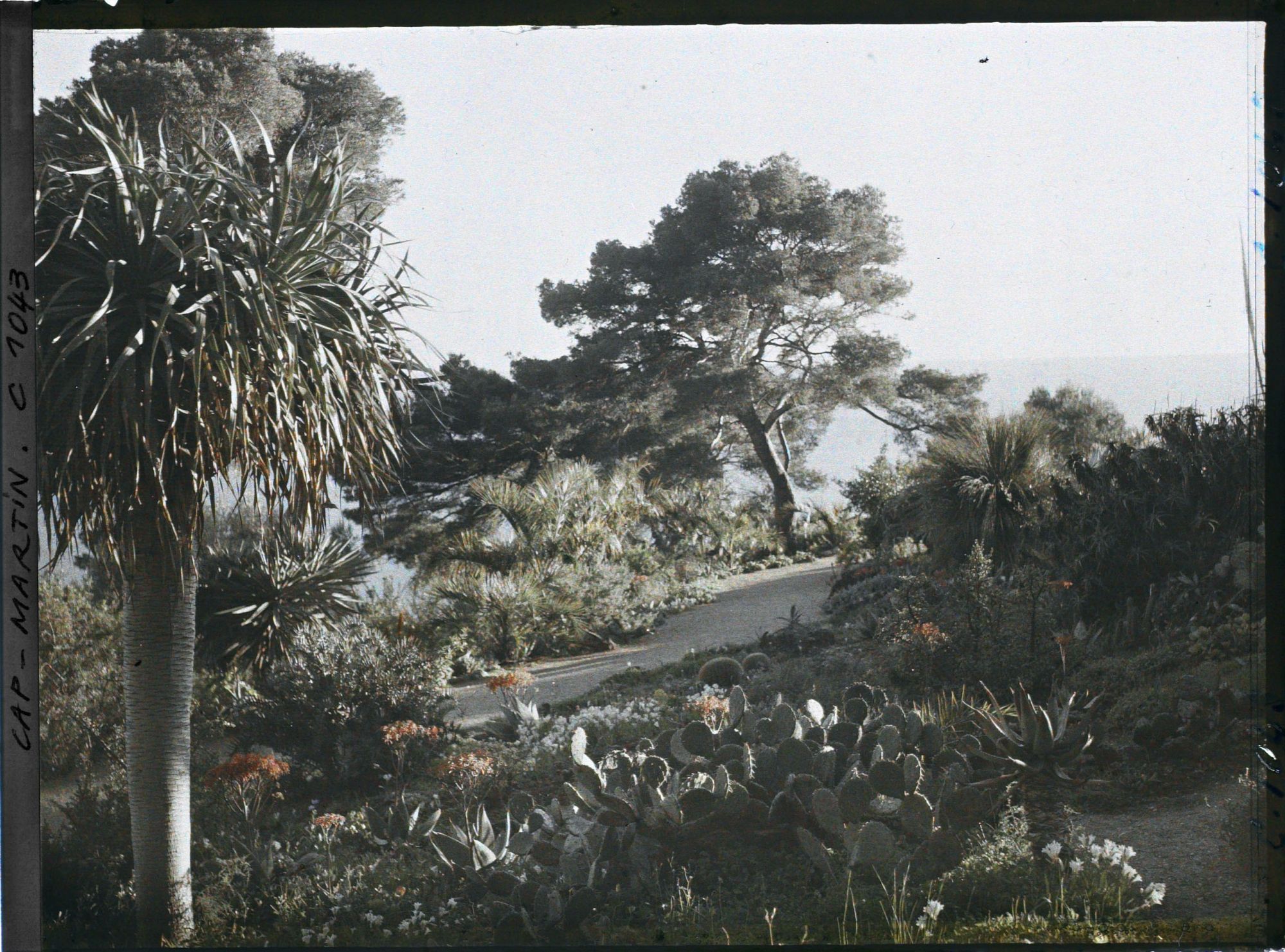 Image représentant Le jardin - Vue vers la mer
