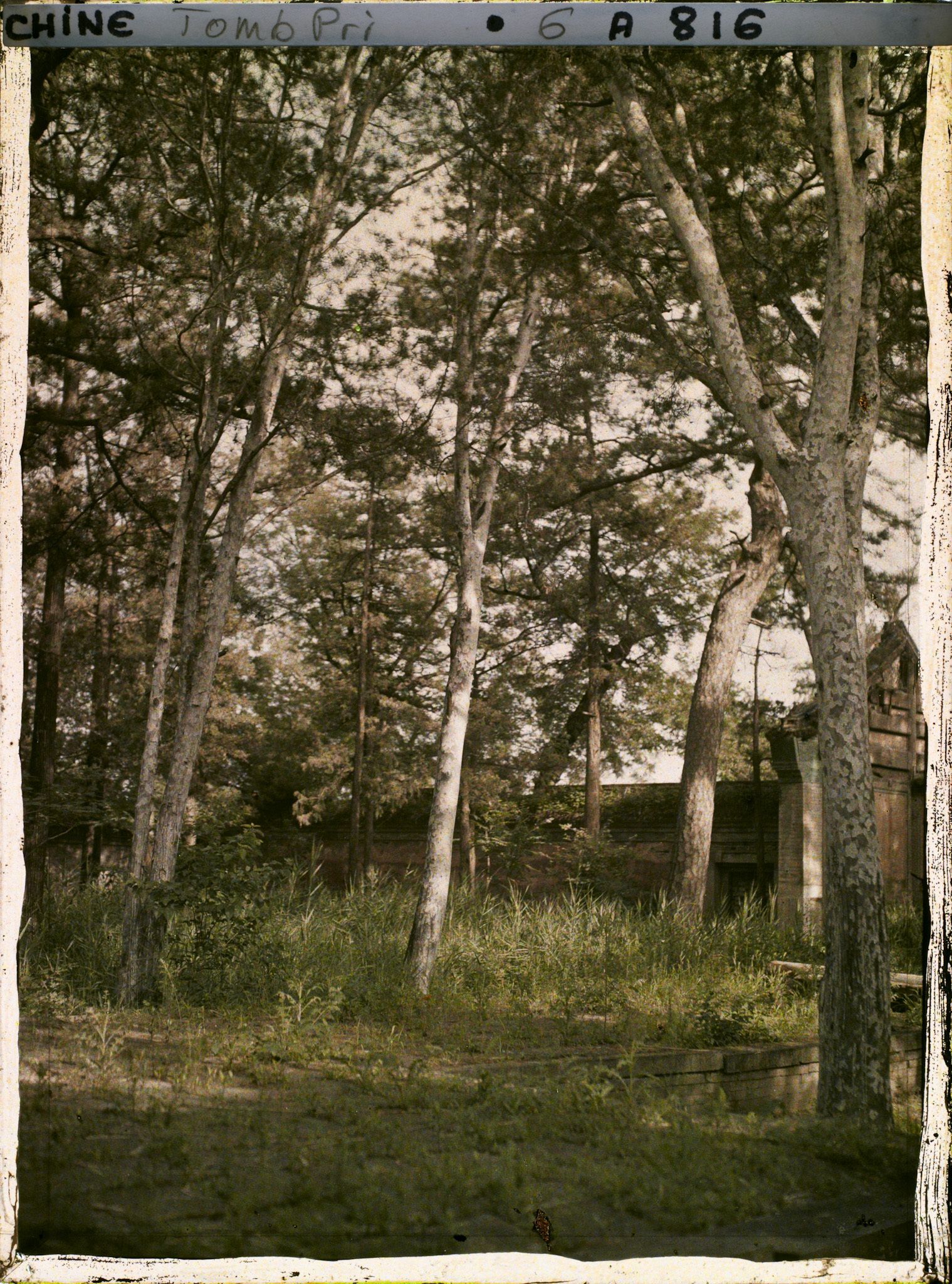 Image représentant Le tombeau de la princesse Fuhui, appelé aussi tombeau de Foshou Gongzhu (" Princesse à la Main de Bouddha ")