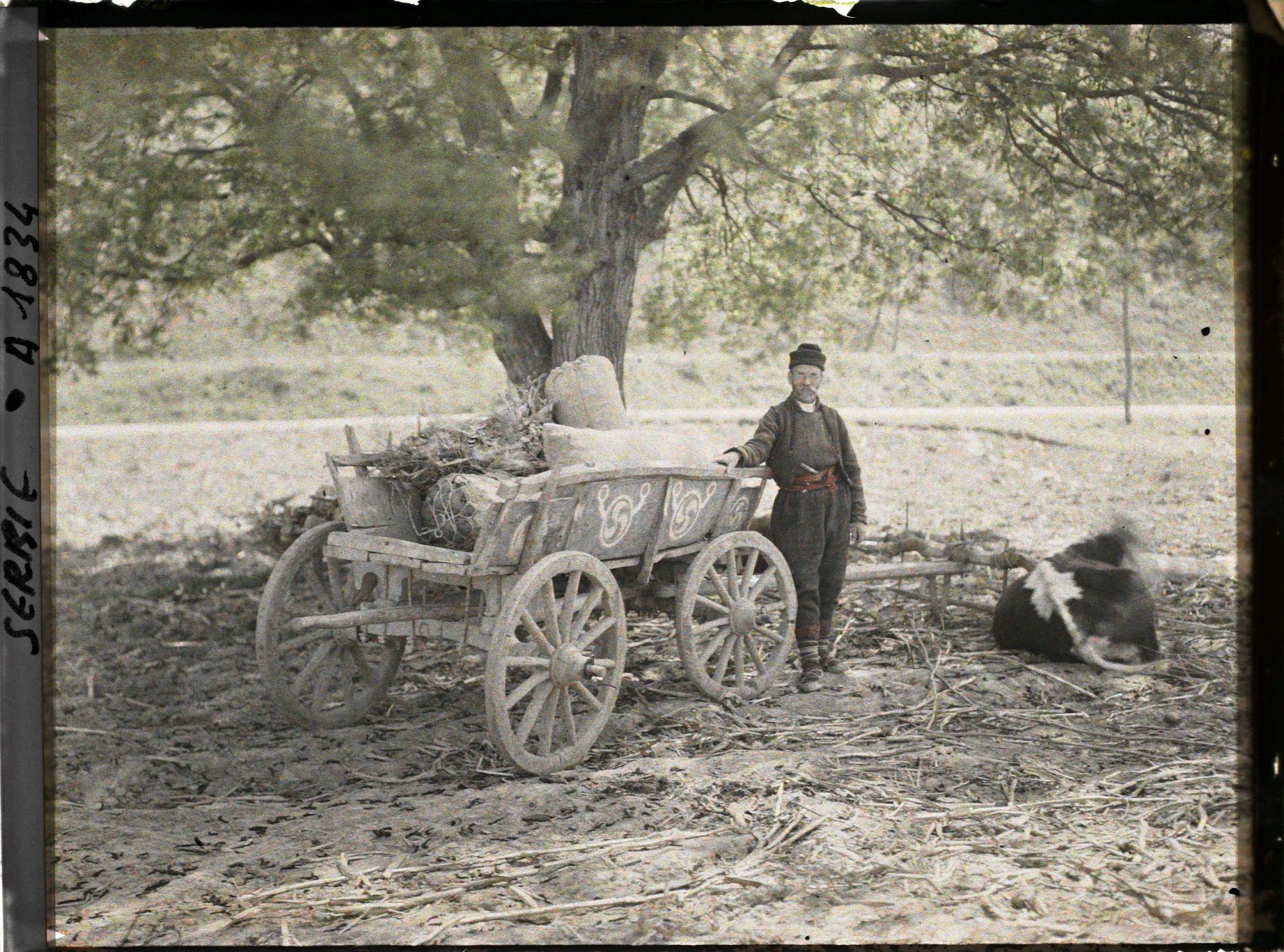 Image représentant Attelage paysan
