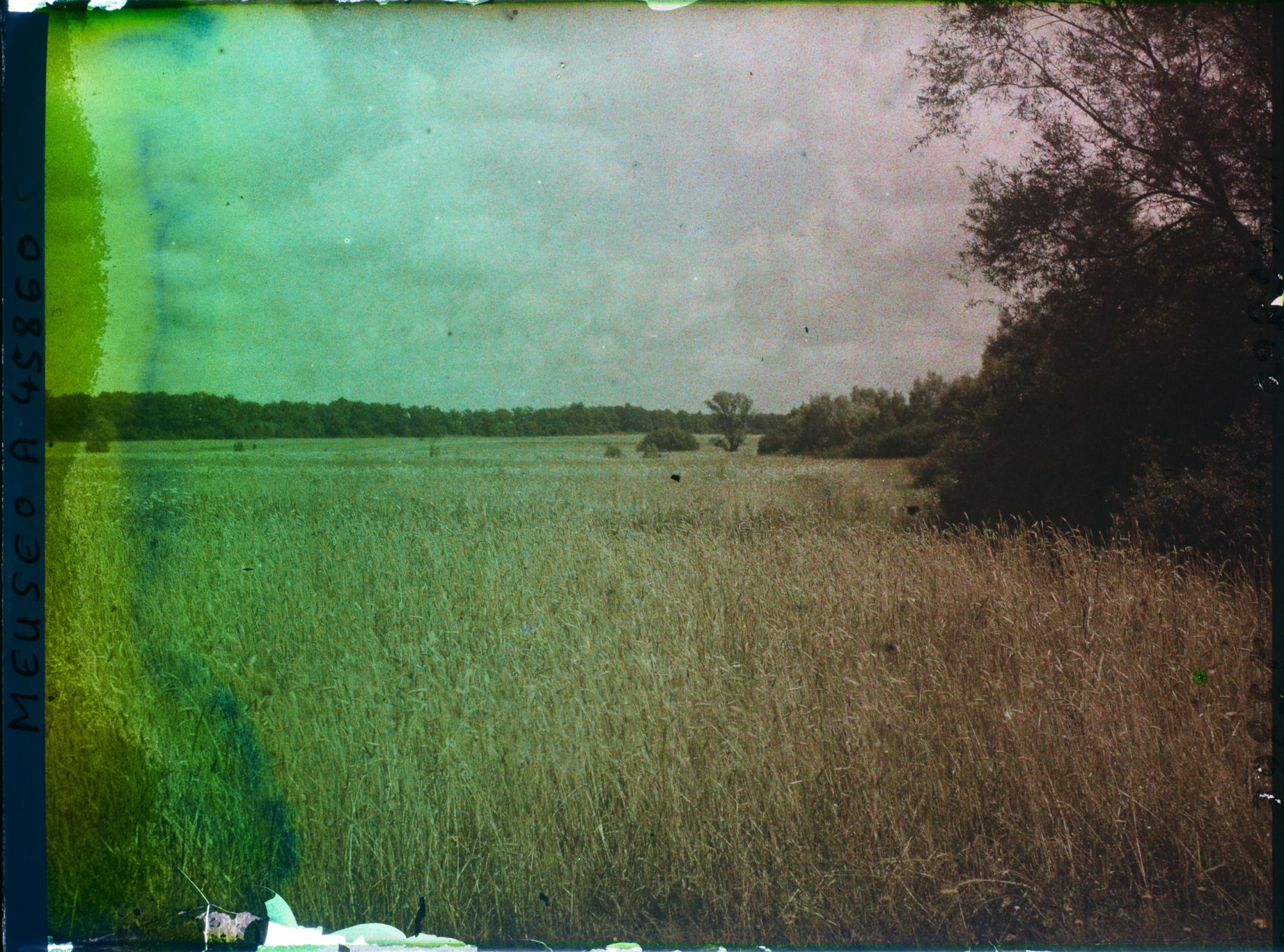 Image représentant France, Montsec, Champ de Blé