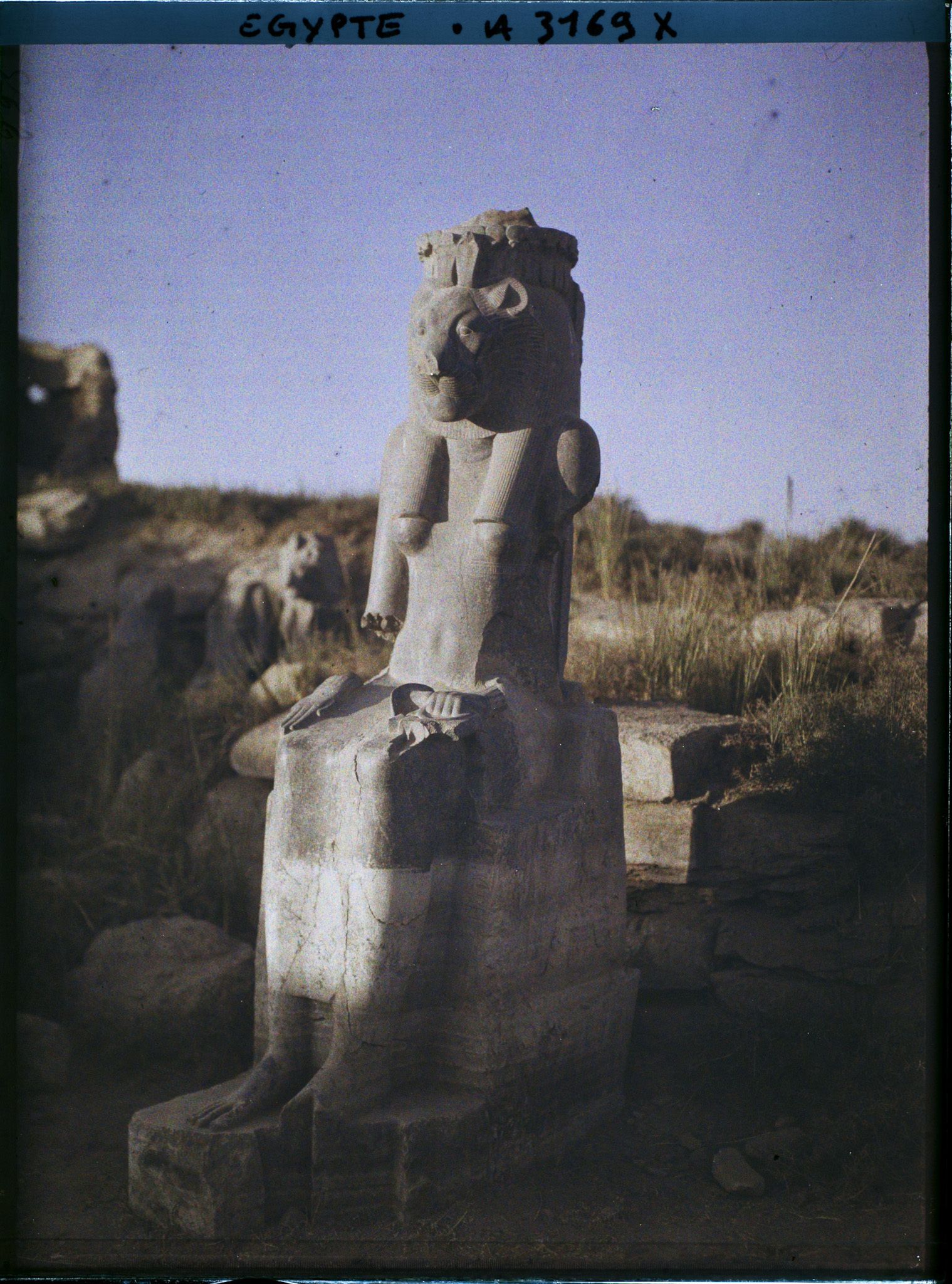 Image représentant Statue en granit représentant Sekhmet
