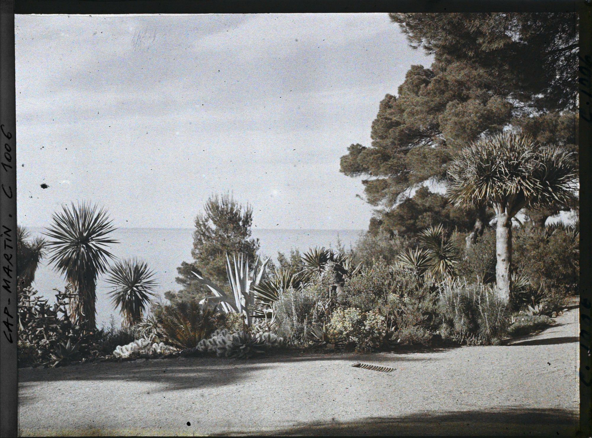 Image représentant Le Jardin (matin, vers Monaco)