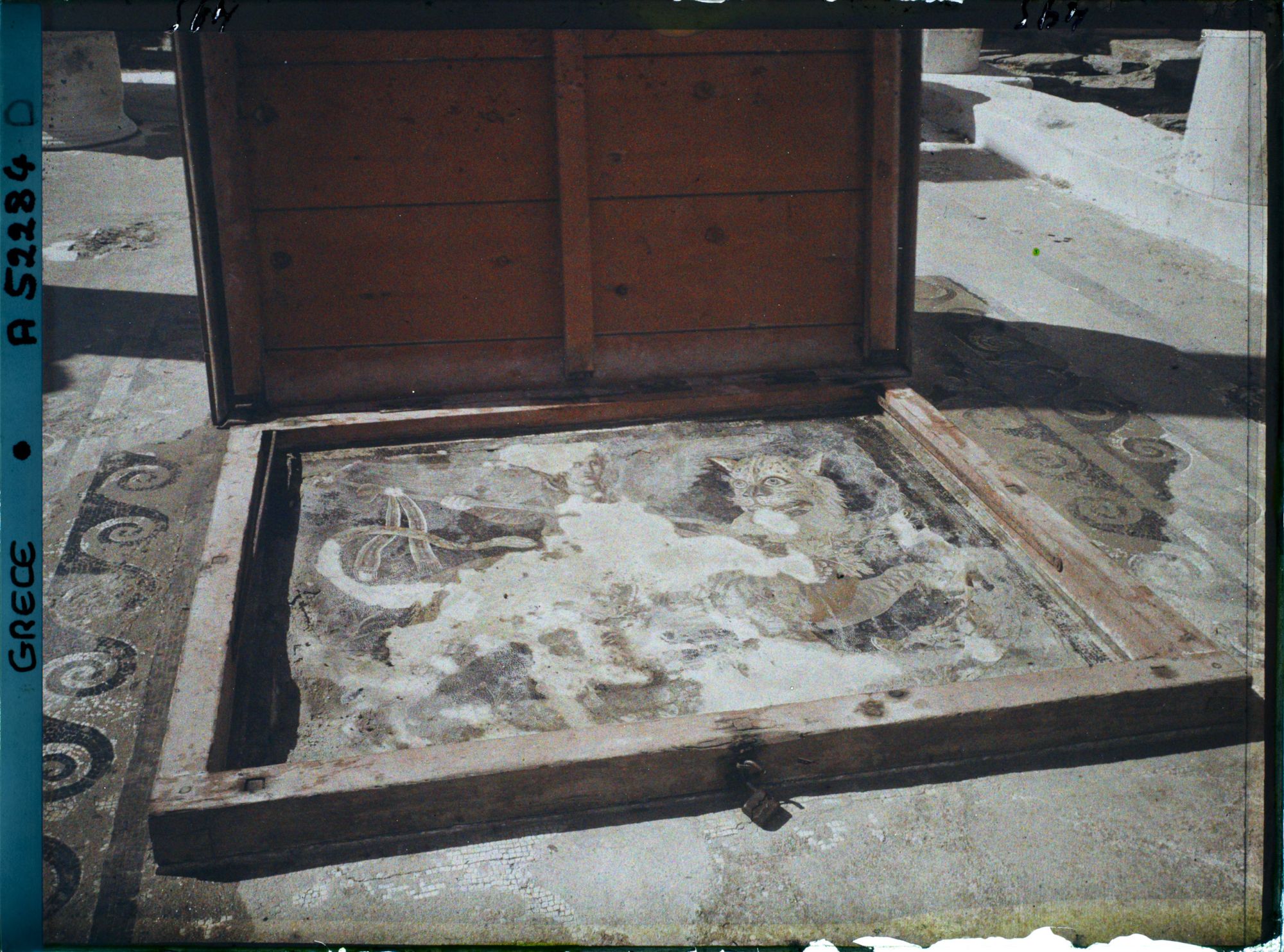 Image représentant Maison du Dionysos (la Mosaïque)