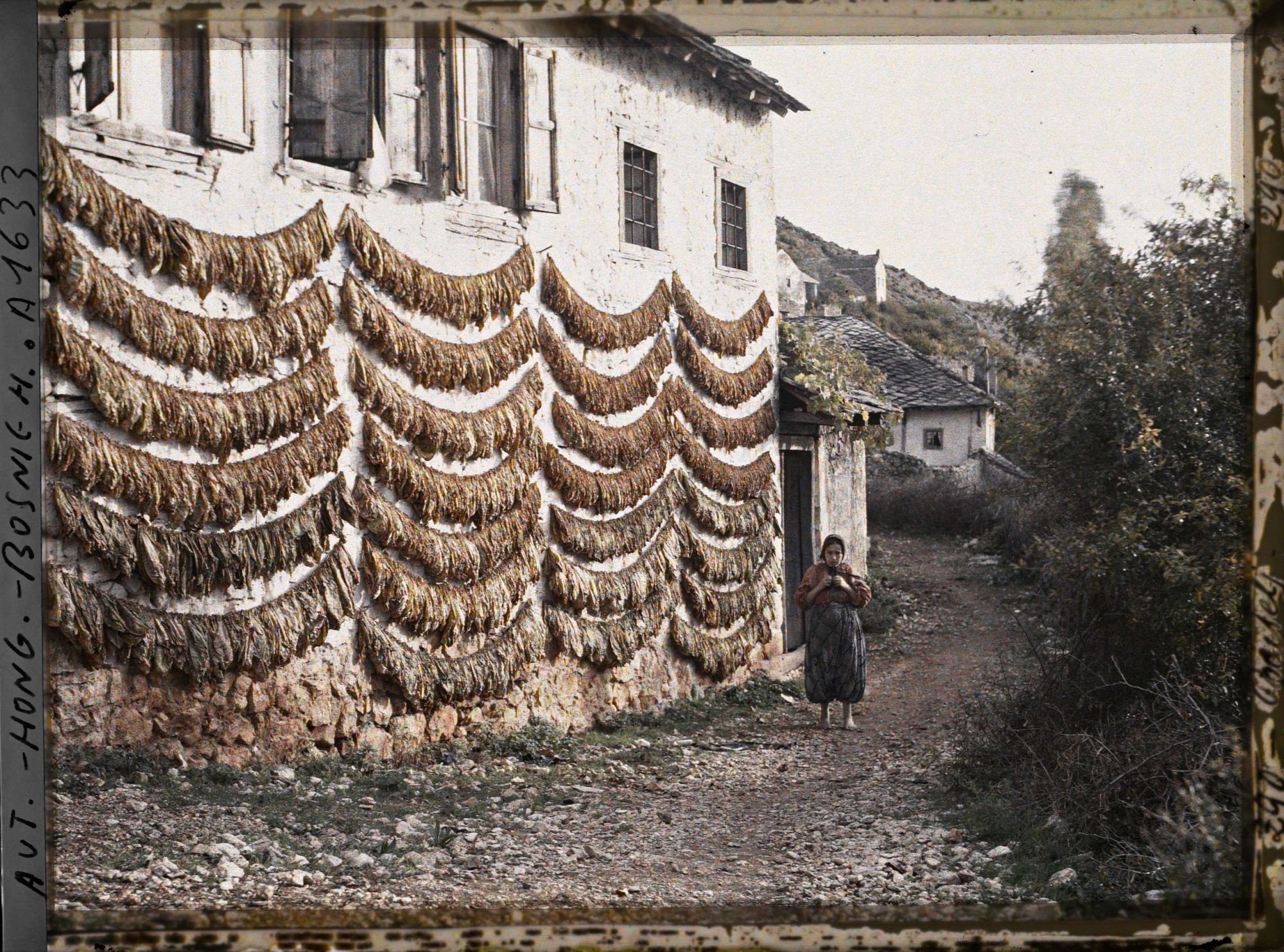 Image représentant Tabac sur une maison et sur les murs