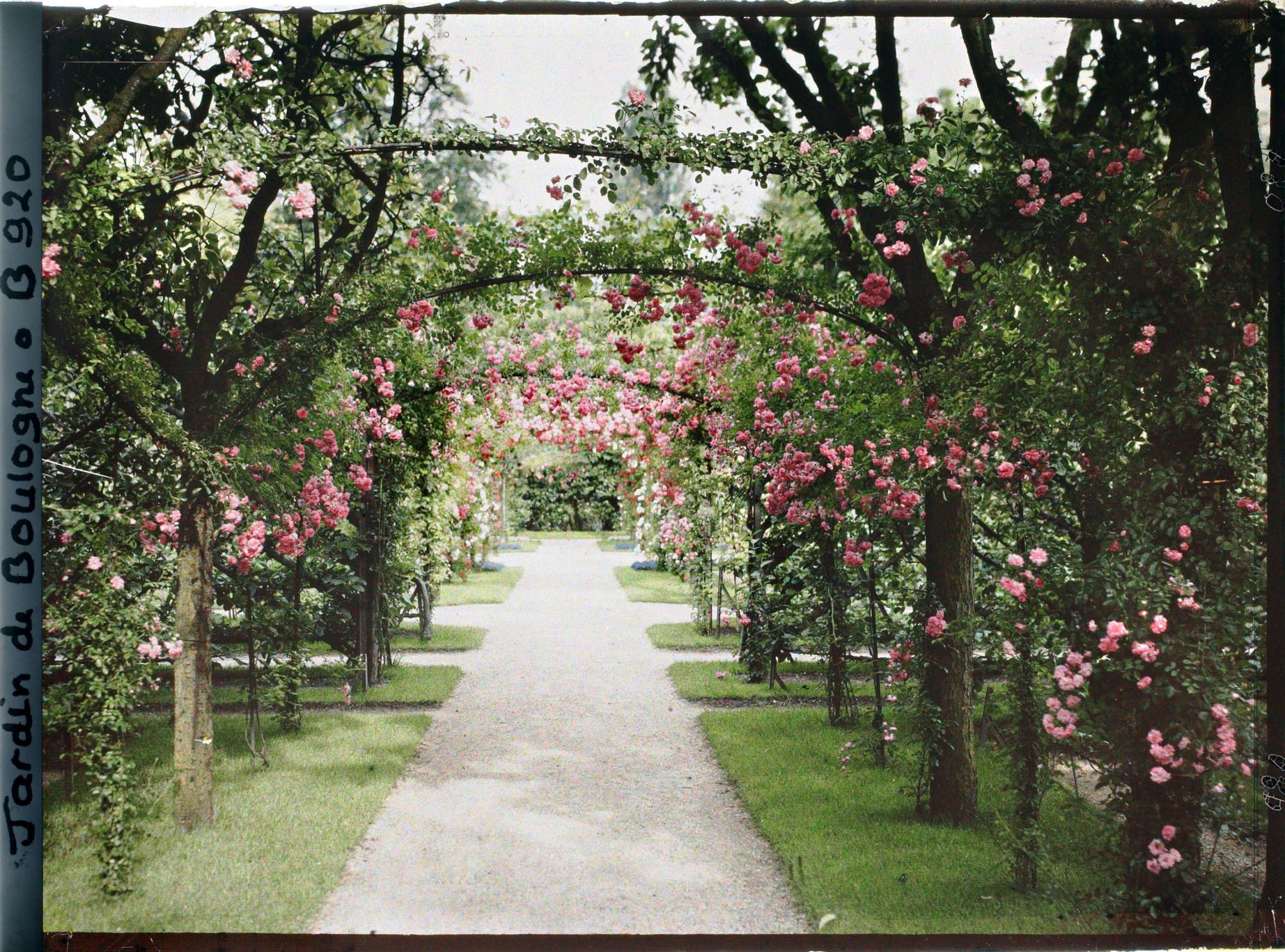 Image représentant Axe central du verger-roseraie vu vers la dépendance, après le rond-point proche du jardin français
