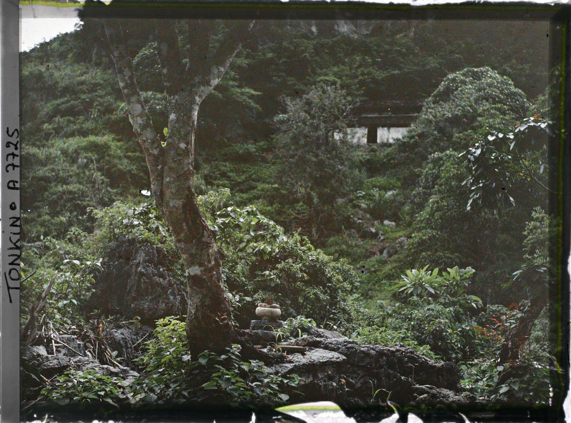 Image représentant Un paysage aux alentours du sanctuaire Giai-oan-chu (" Pagode du Purgatoire ") faisant partie des sanctuaires rupestres bouddhiques du massif de Hu'o'ng-tich-so'n (" Pagode de l'Empreinte Parfumée ")