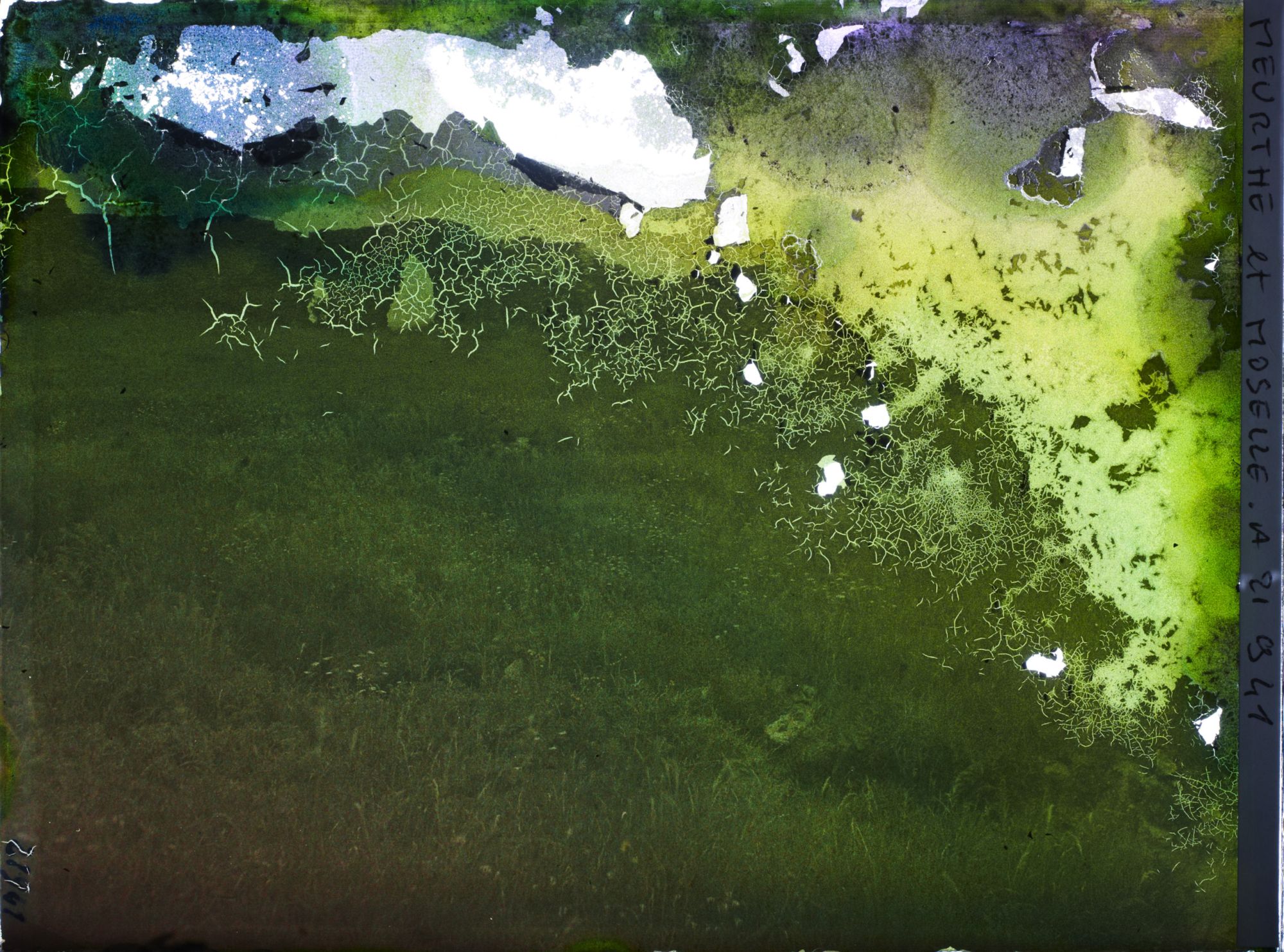 Image représentant France, Mousson, Ruines du Château féodal