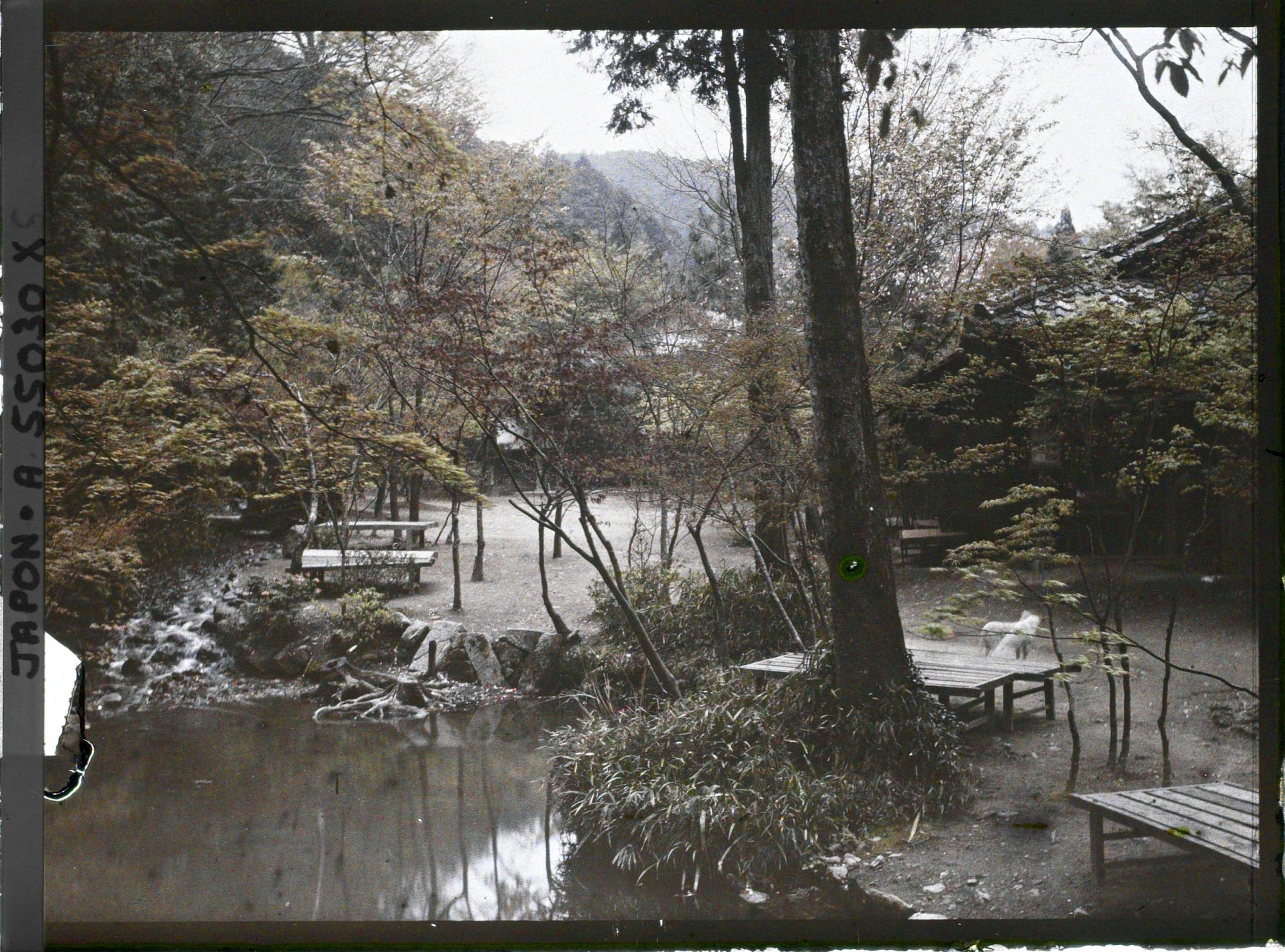Image représentant Temple Eikan-dô Zenrin-ji