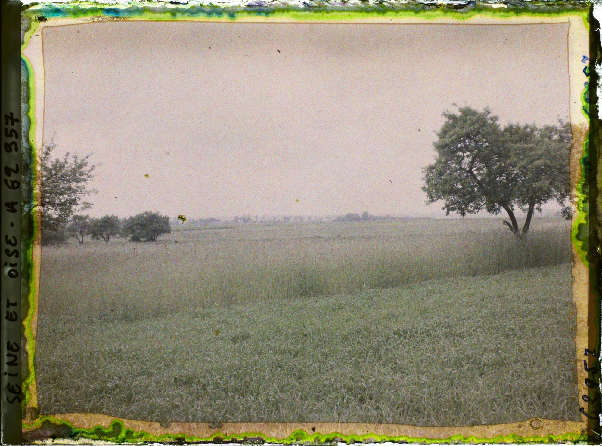 Image représentant Ile de France, Frepillon, Blé et seigle