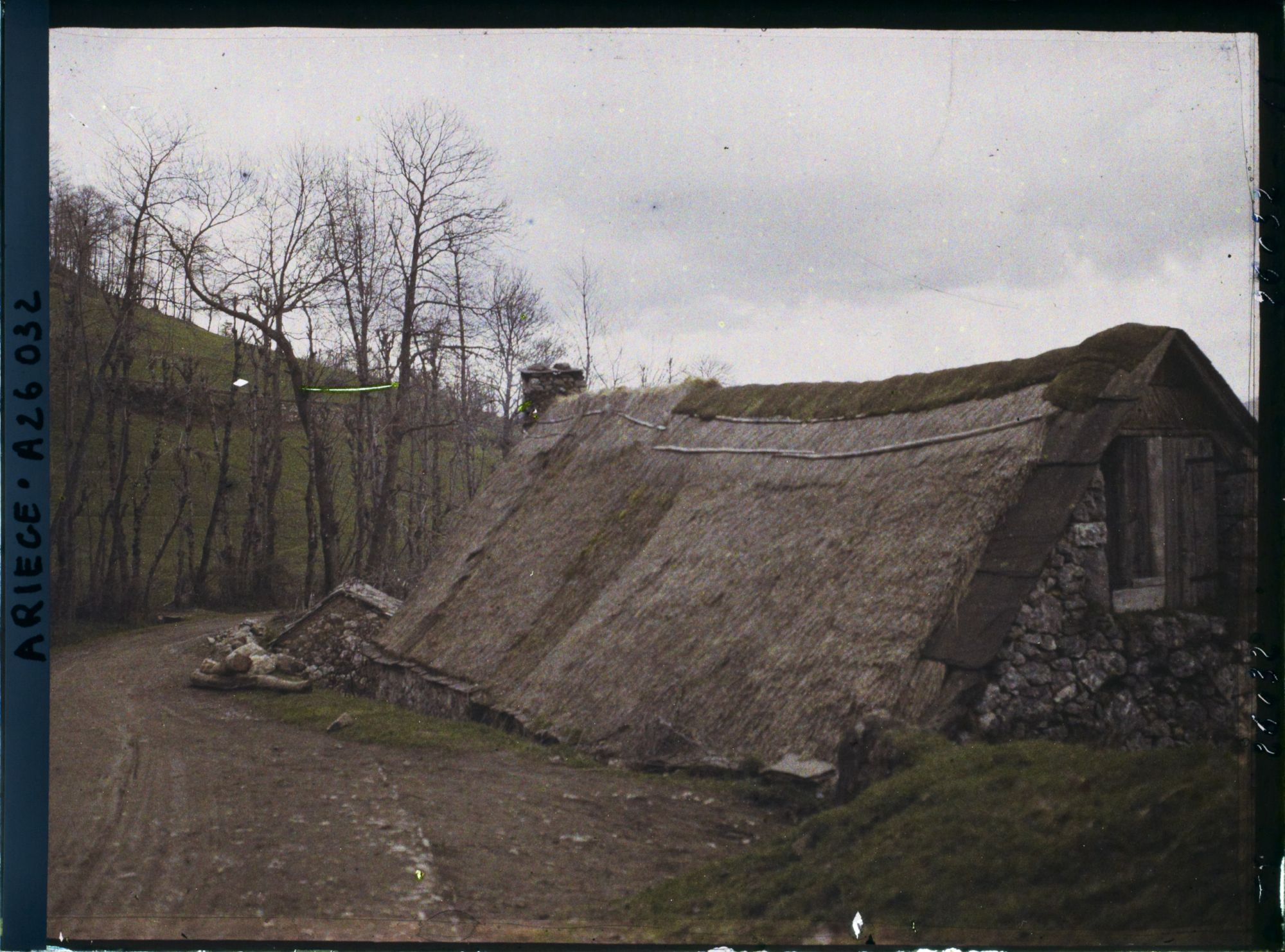Image représentant Une maison couverte de chaume, avec de grandes plaques de schiste sur les bords