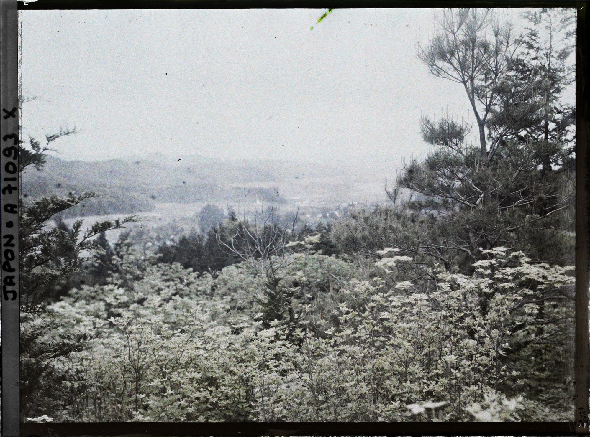 Image représentant Vue sur une vallée