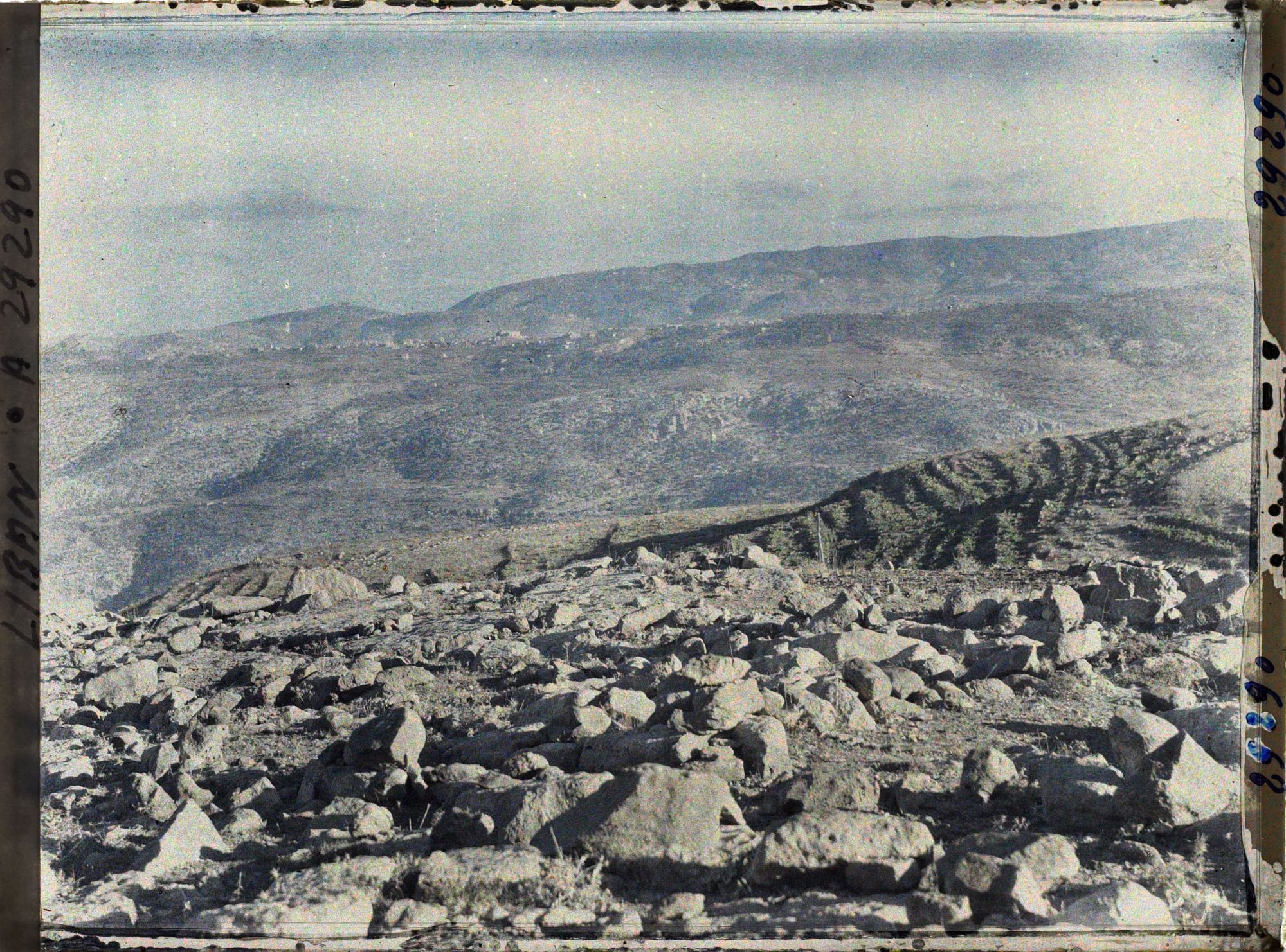 Image représentant Sur la route vers Zahlé