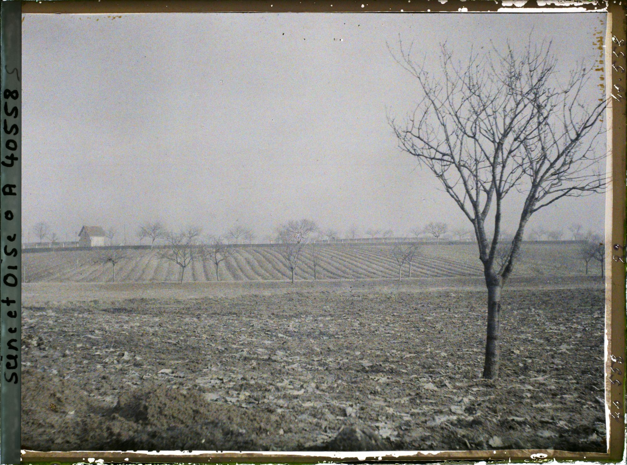 Image représentant France, Les Clayes, Champ sur la route de