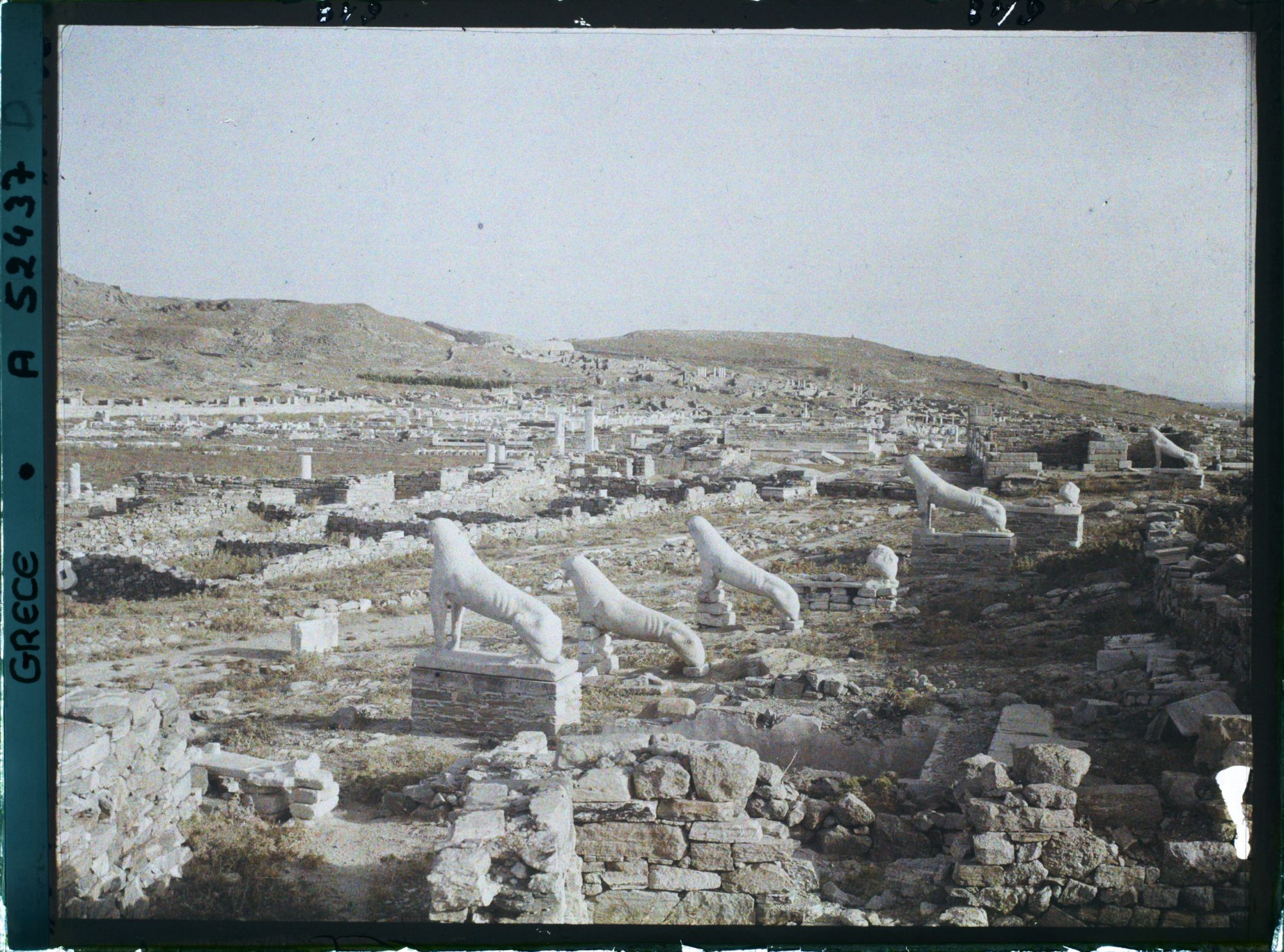 Image représentant La Terrasse des Lionnes