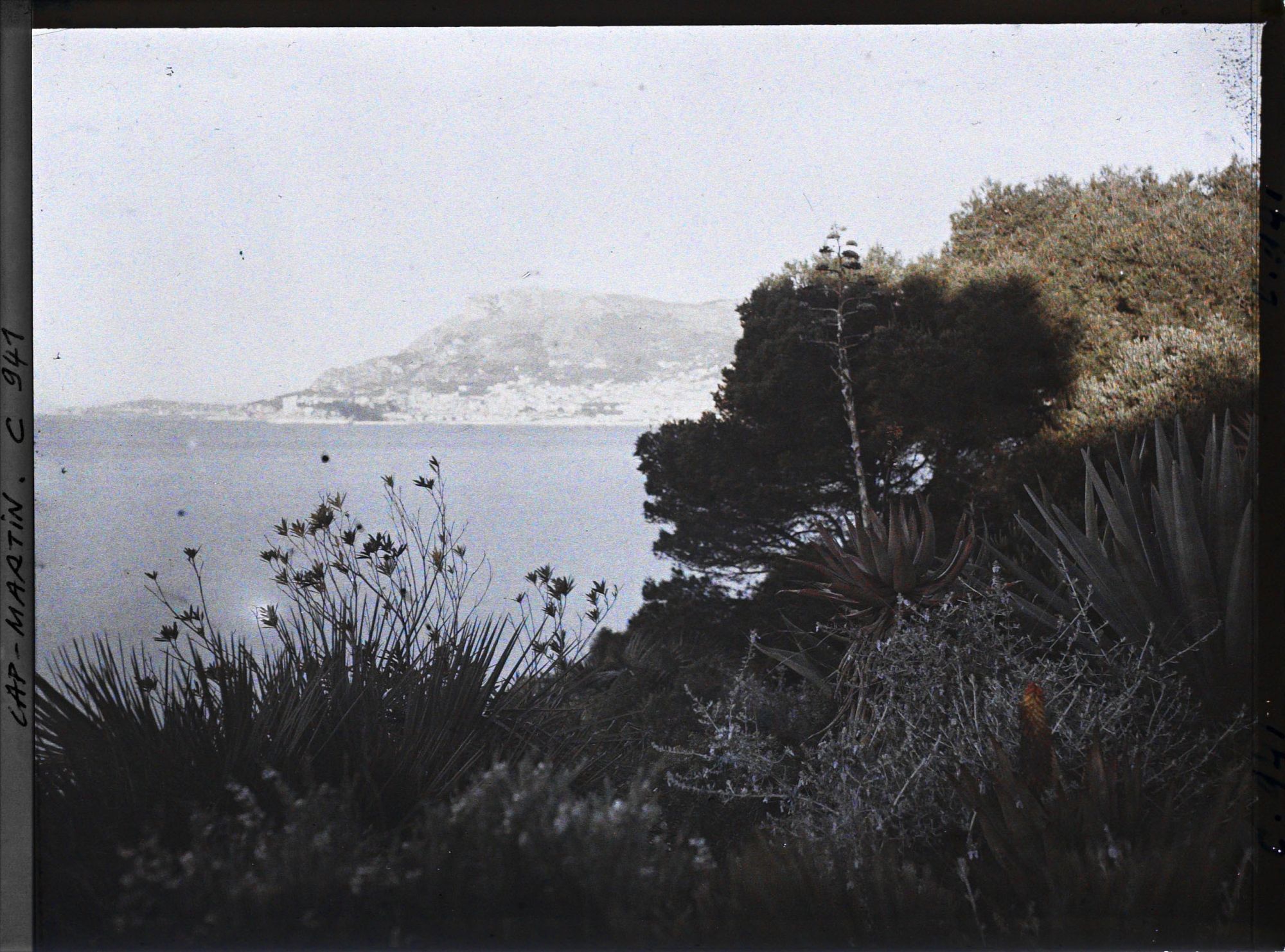 Image représentant Le Jardin (matin)