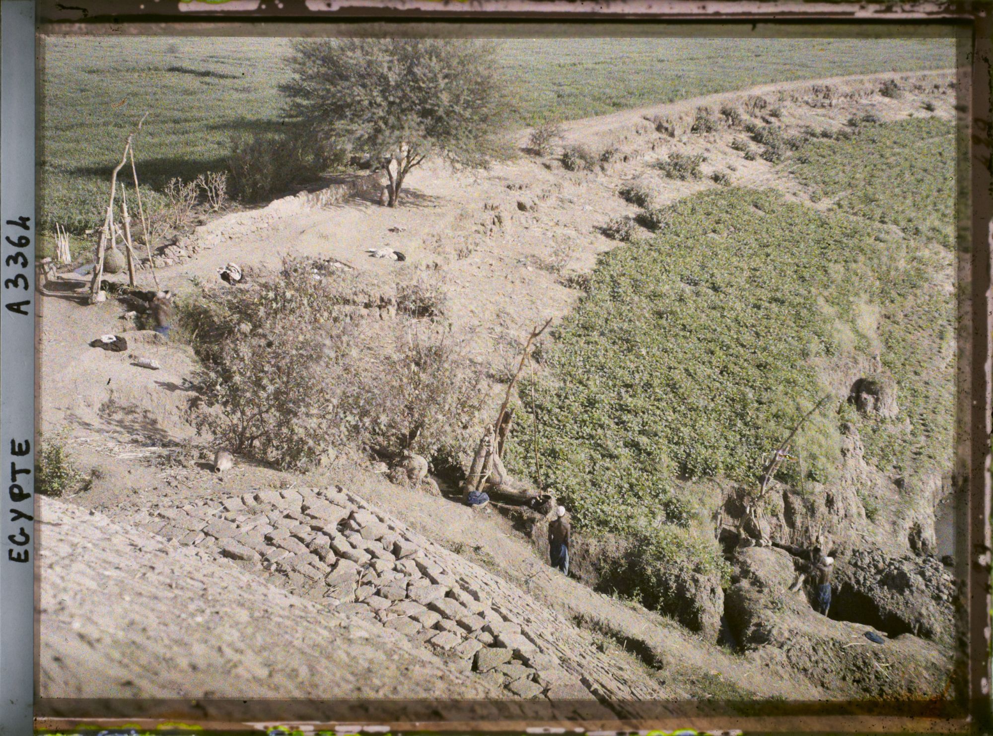 Image représentant Utilisation de chadouf dans la campagne près du temple de Kom Ombo