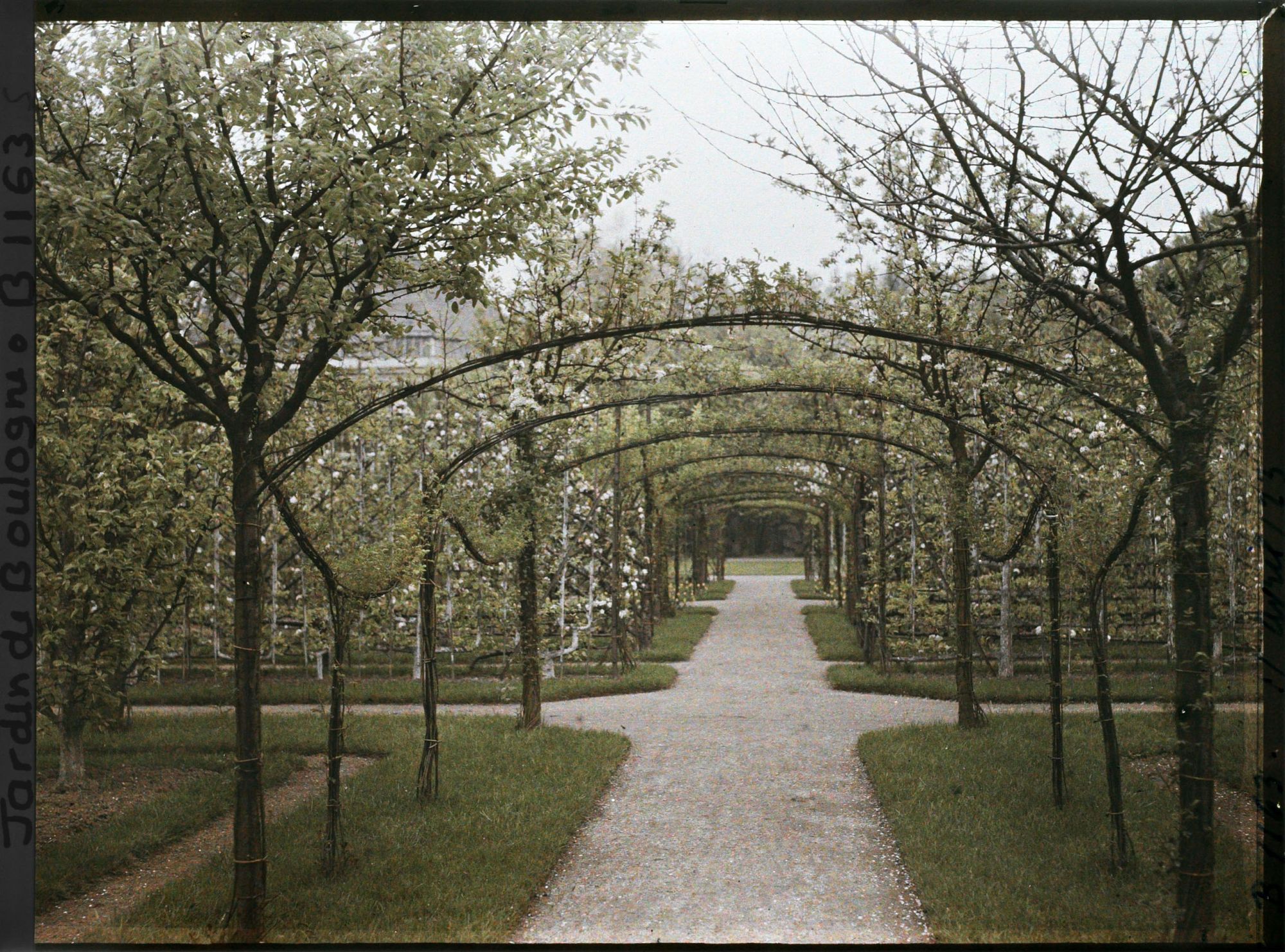 Image représentant Axe central du verger-roseraie vu en direction du jardin anglais, après le rond-point côté dépendance