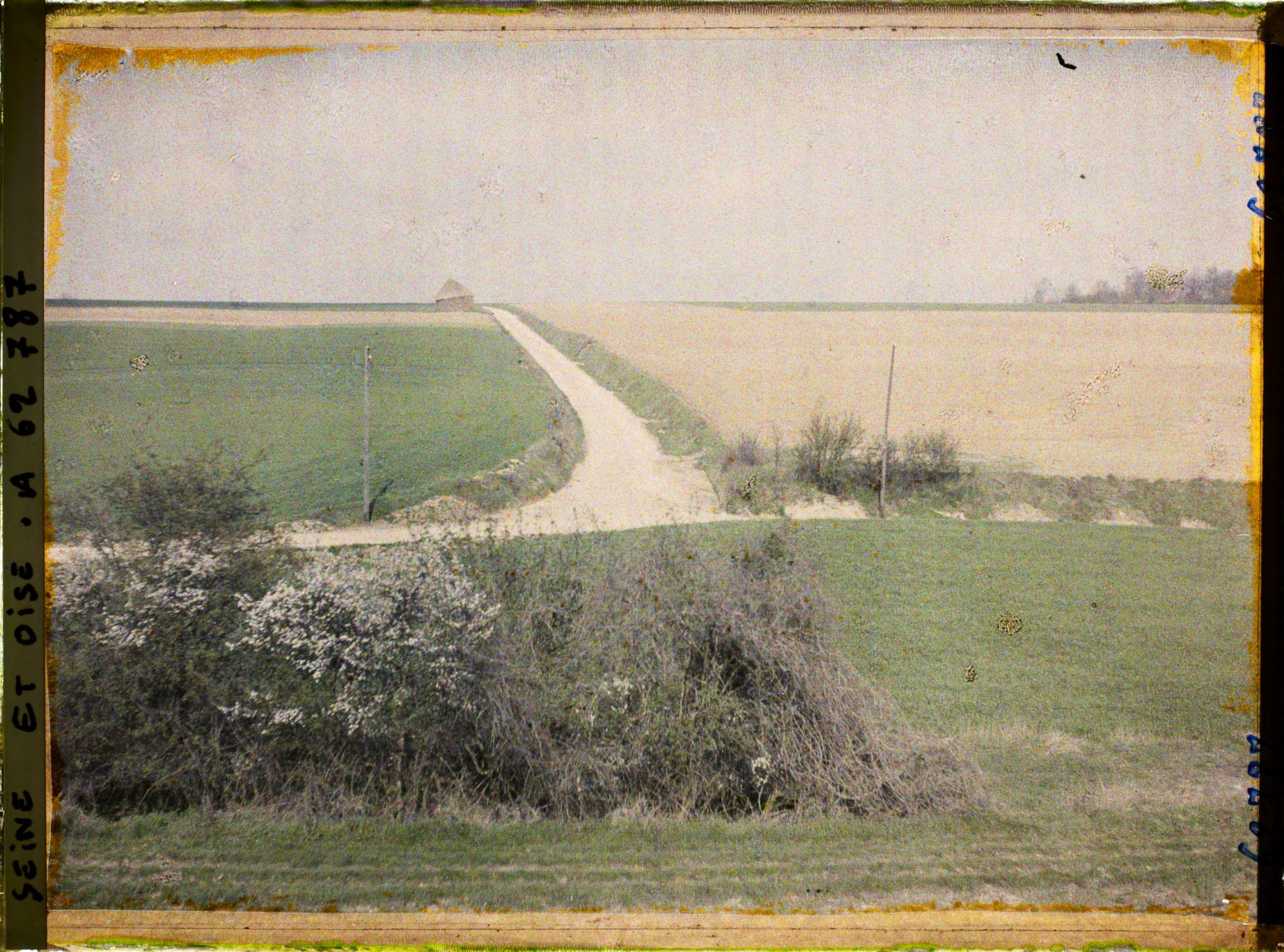 Image représentant Ile de France, Vallangoujard, Chemin de Mézière - A gauche blé et à droite Betteraves