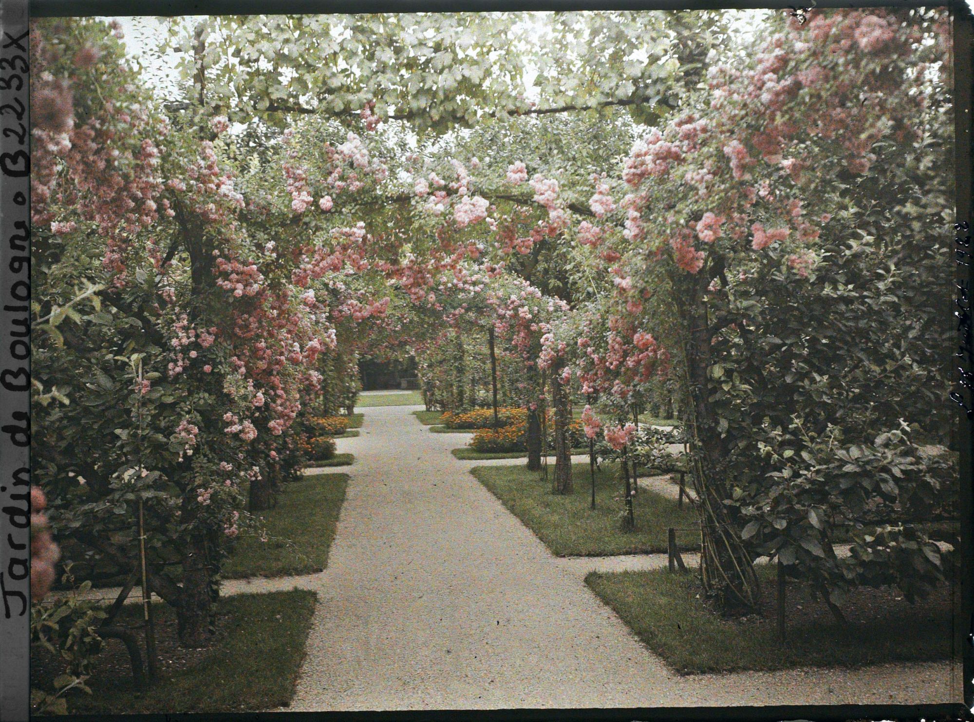 Image représentant Axe central du verger-roseraie vu à mi-parcours, en direction du jardin anglais