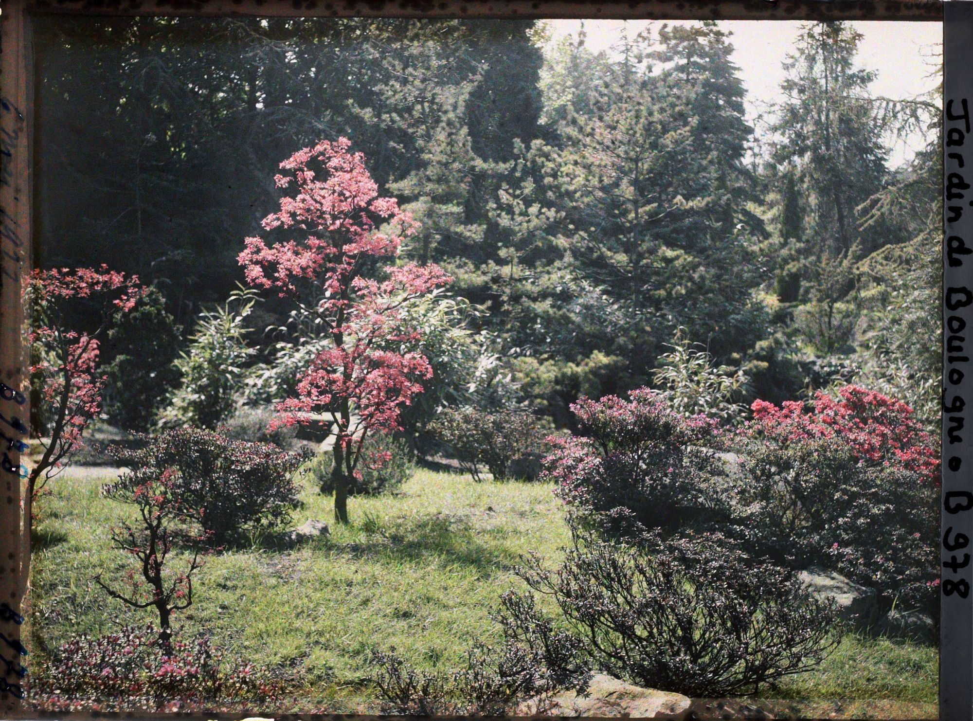 Image représentant Érables rougeoyants du " sanctuaire japonais " proches de la porte d'accès au " village japonais "