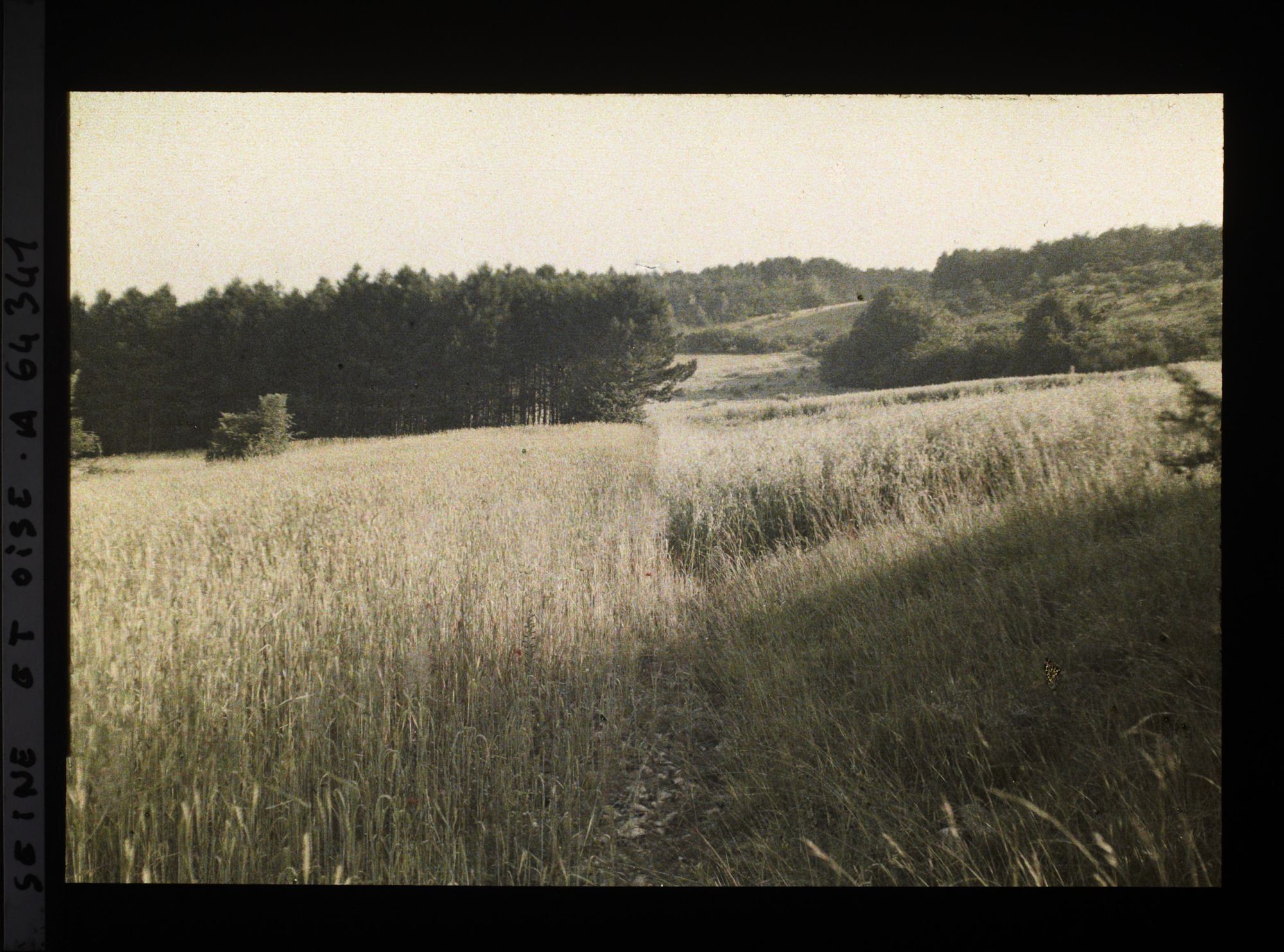Image représentant Ile de France, Vallangoujard, Blé et avoine au lever du Soleil