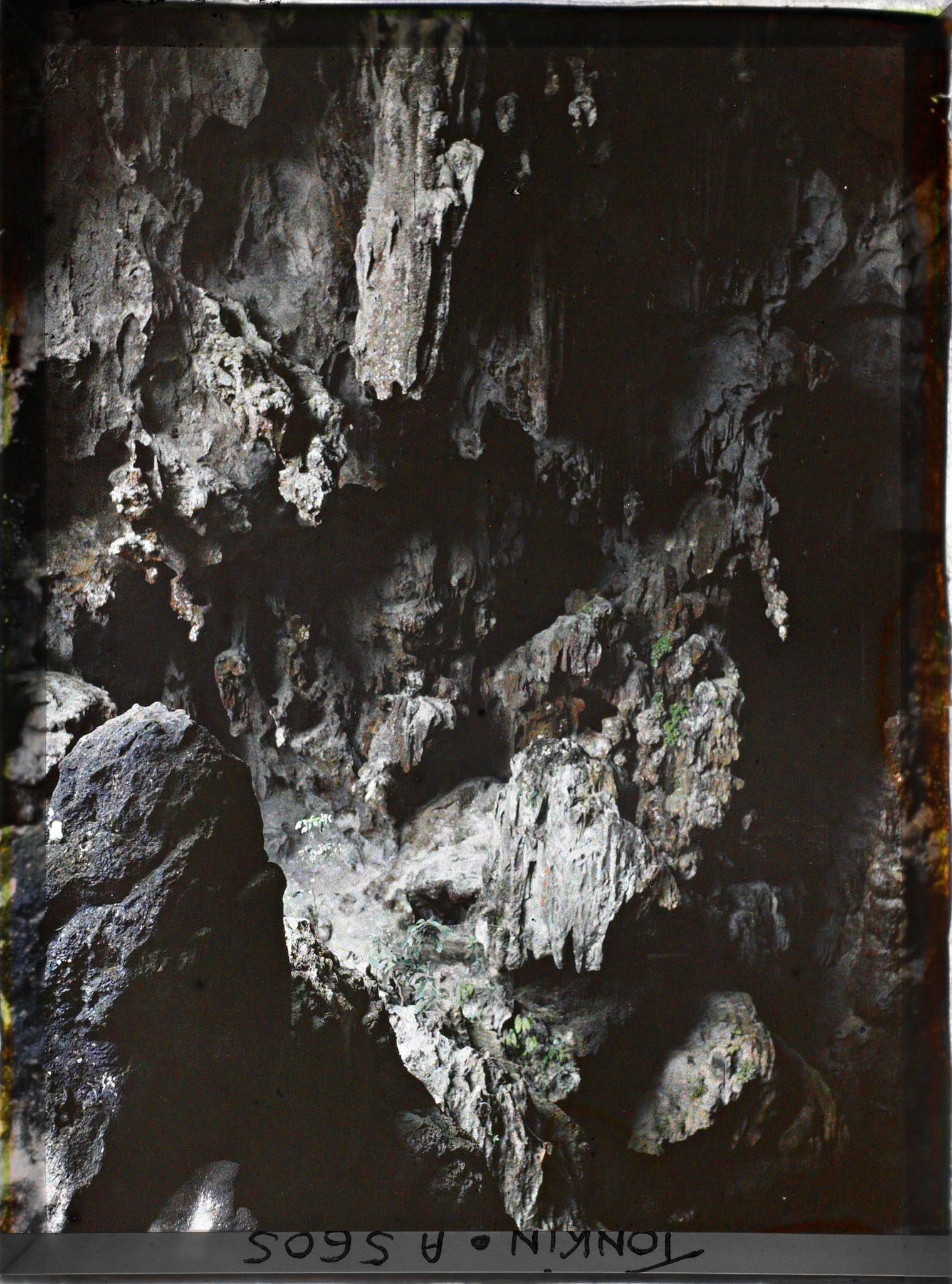 Image représentant L'intérieur de la " Grotte des Merveilles ", près de l'entrée