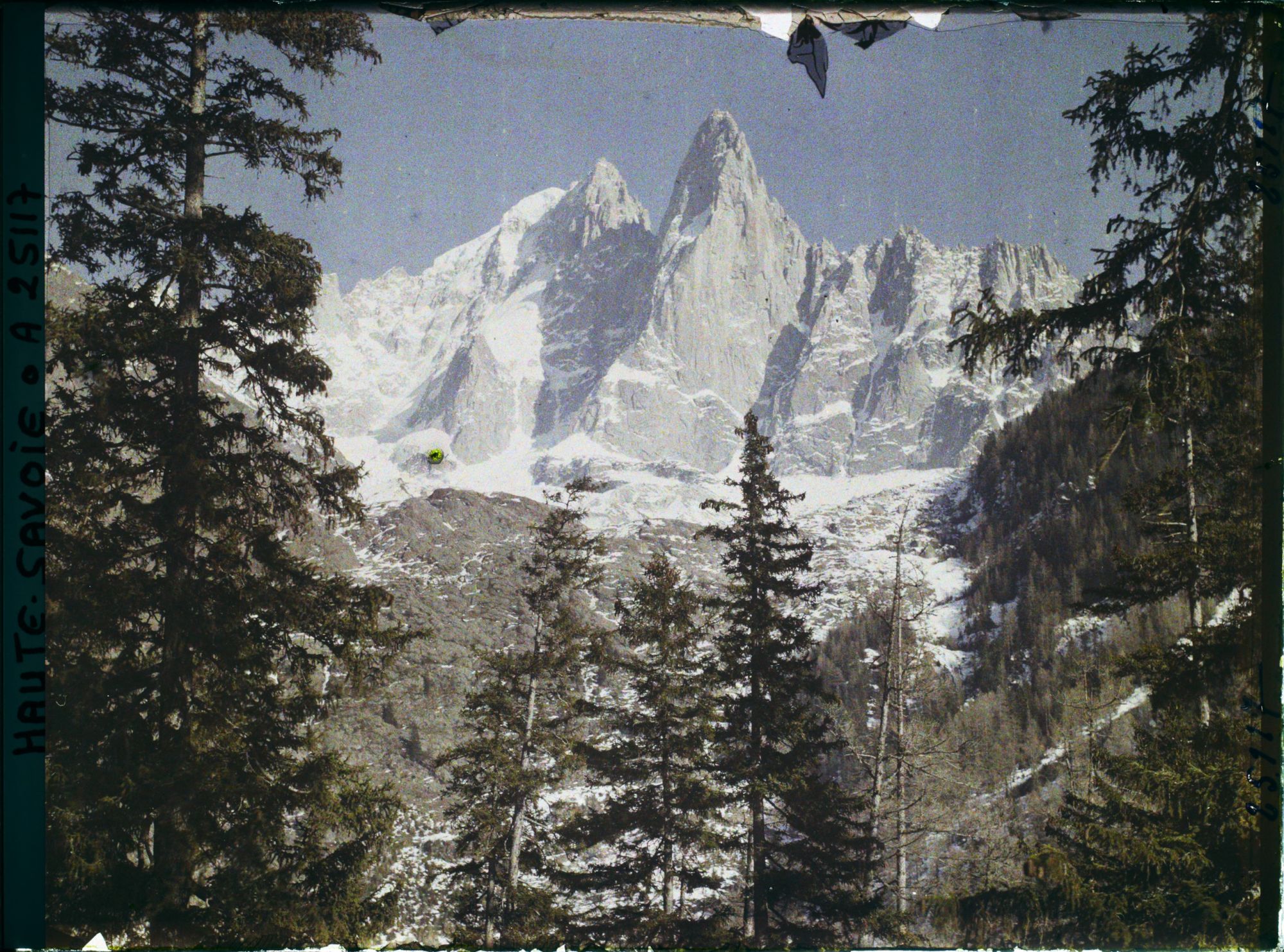 Image représentant France Les Alpes, Vallée de Chamonix, Du Village des Bois : l'Aiguille Verte, l'Aige du Dru à travers les Arbres