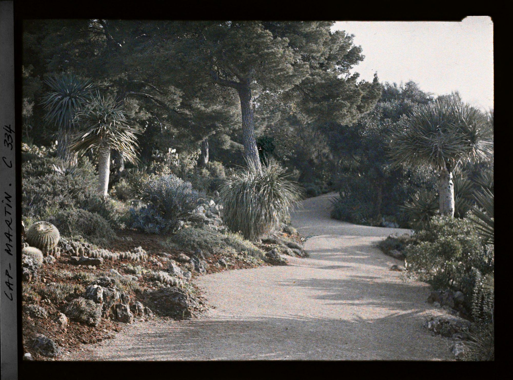 Image représentant Cap Martin Le Jardin