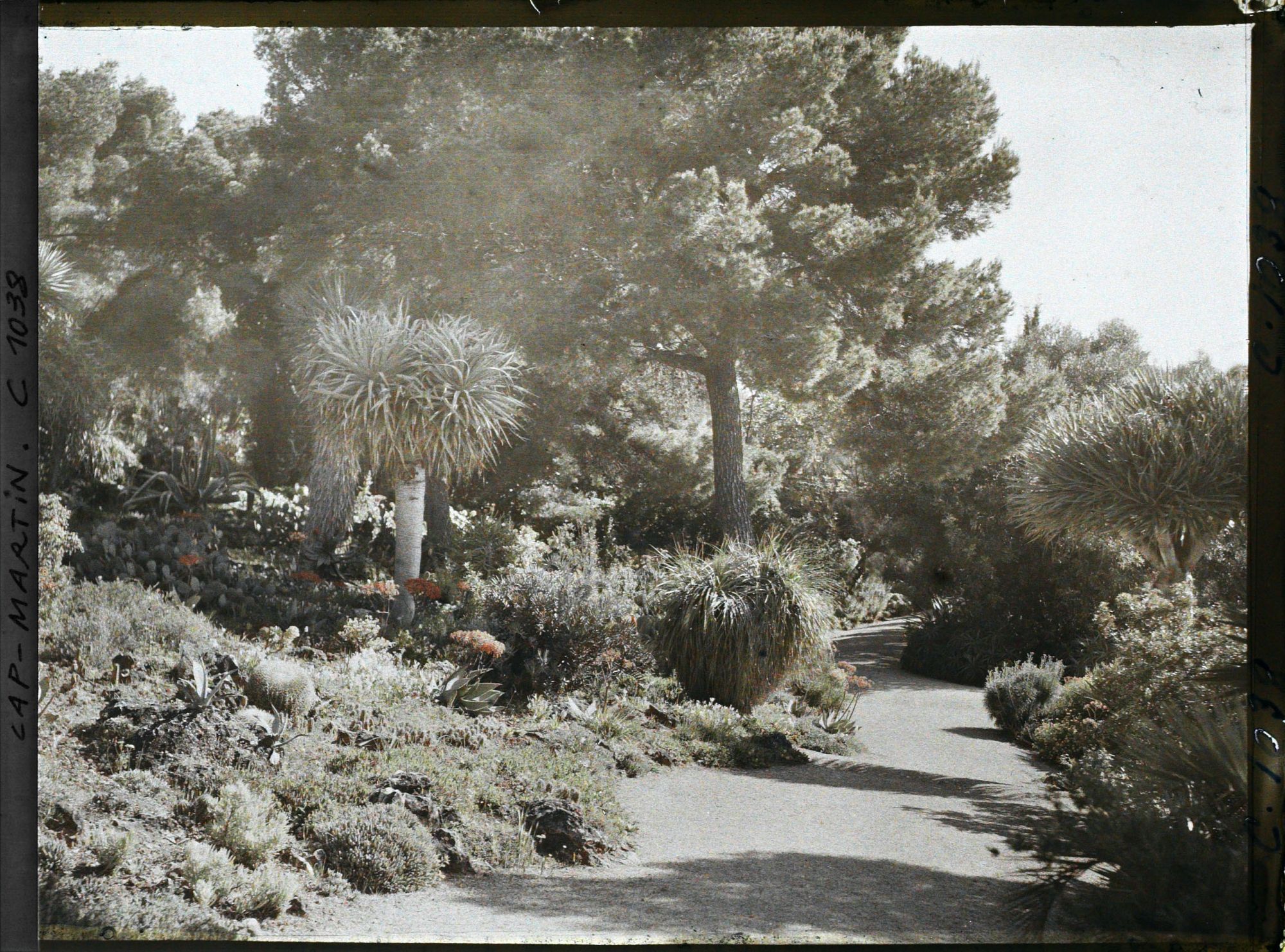 Image représentant Le Jardin