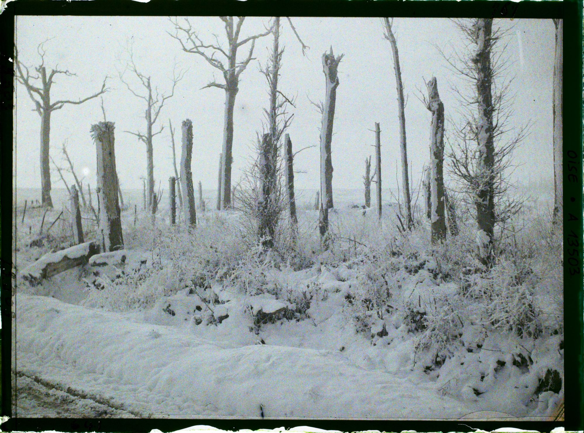 Image représentant France, Bois des Loges, Tranchées du Château