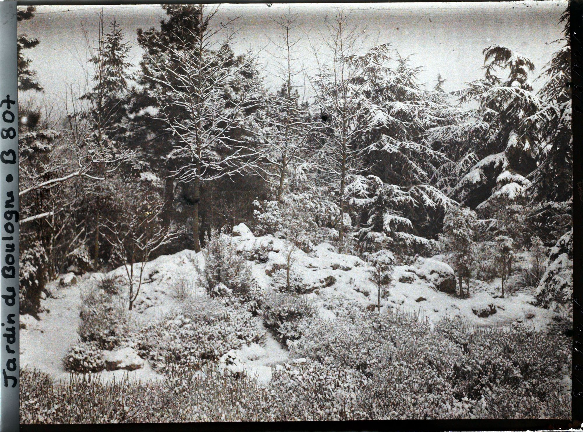 Image représentant Croisement de chemins et rocaille du " sanctuaire japonais " en hiver, près du verger-roseraie