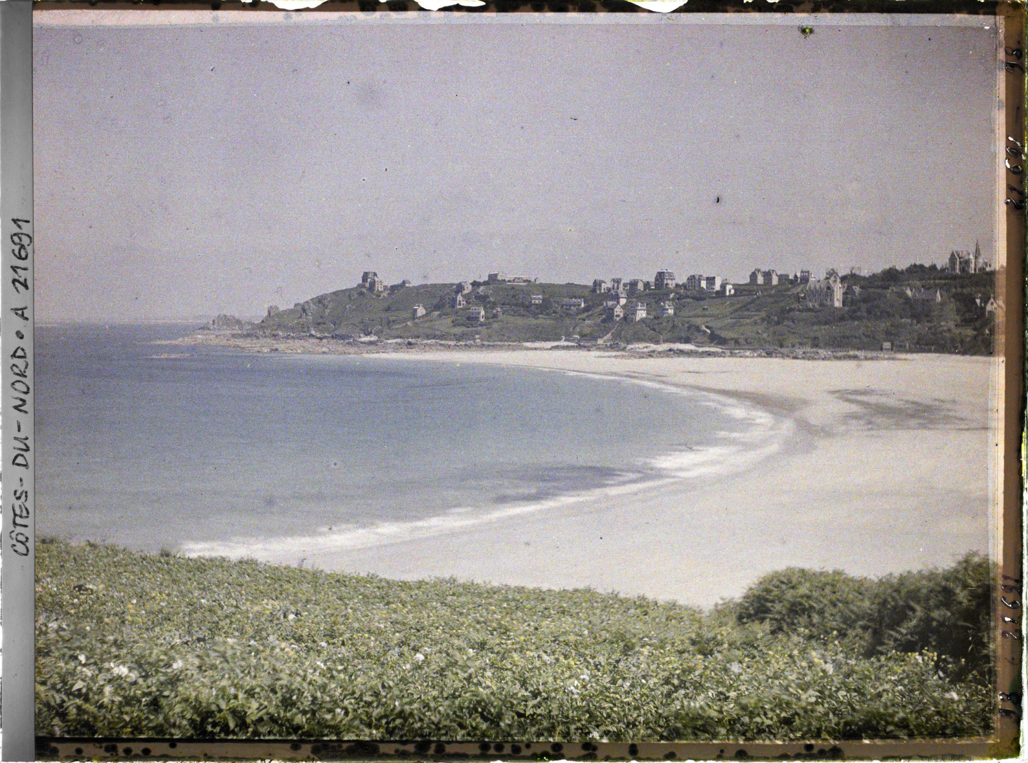 Image représentant La plage de Trestraou avec au premier plan un champ de pommes de terre