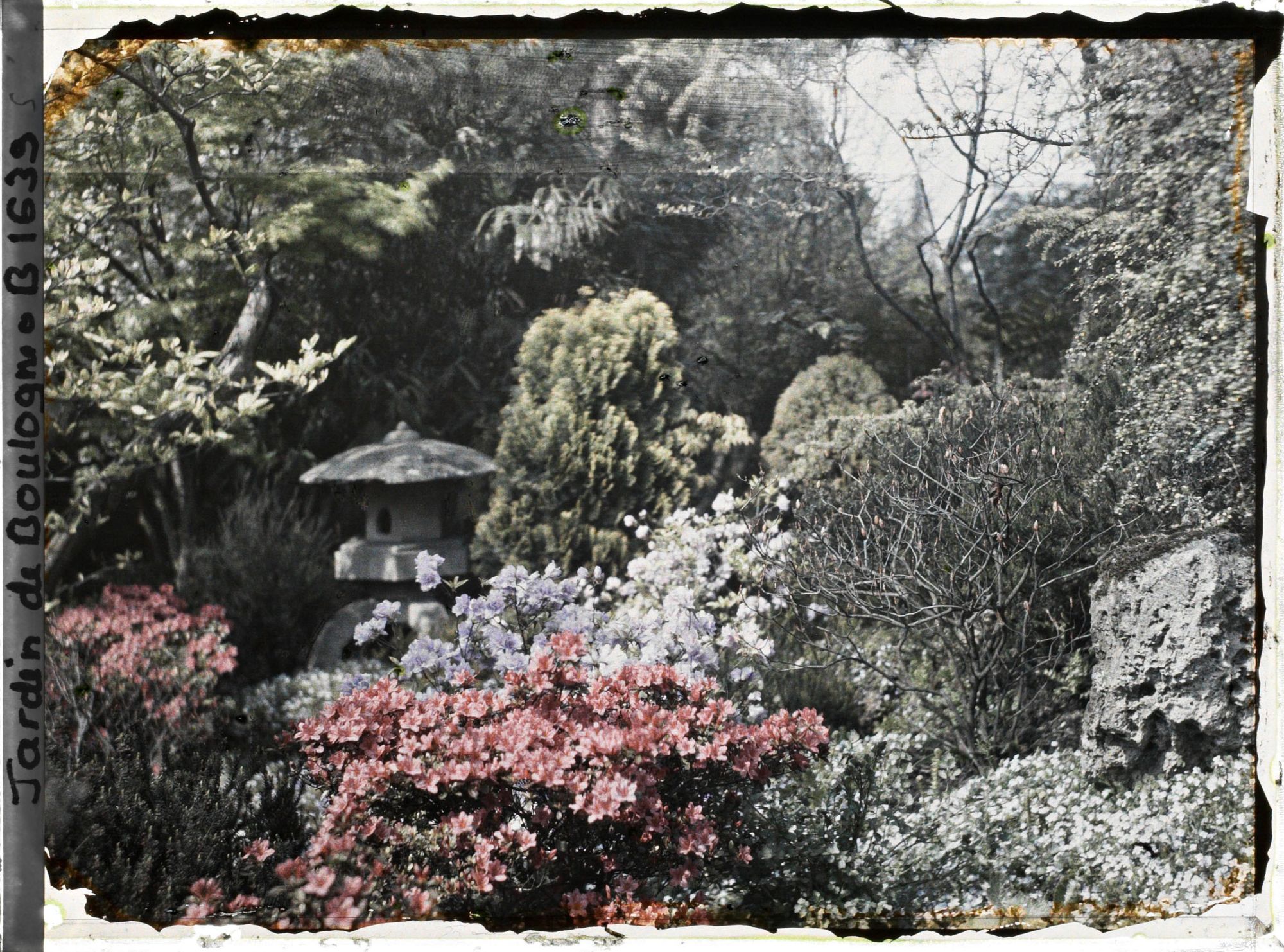 Image représentant Lanterne du " sanctuaire japonais " blottie dans un massif fleuri proche du verger-roseraie