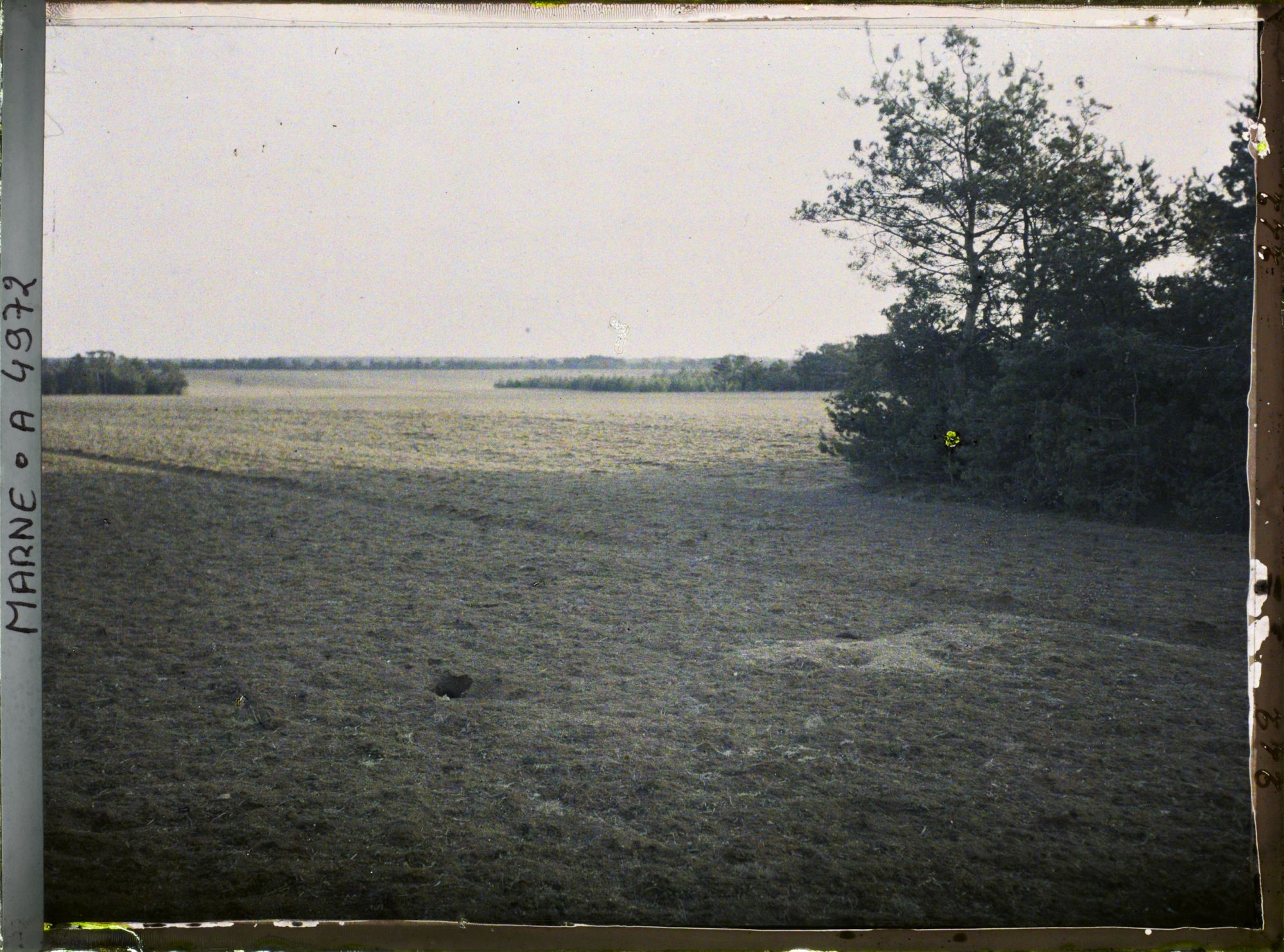 Image représentant Type d'un plateau champenois