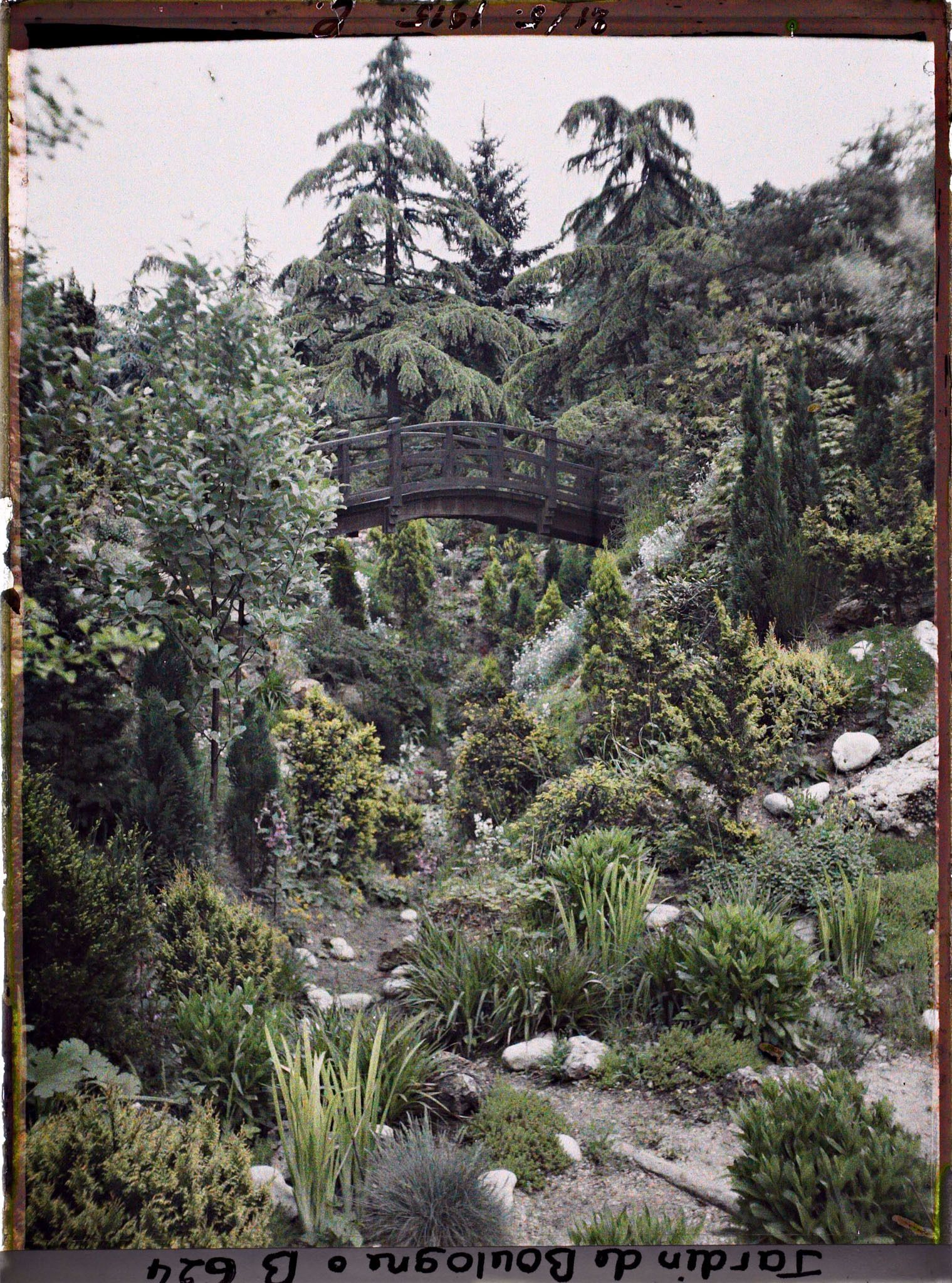 Image représentant Pont du " sanctuaire japonais " dans son environnement arboré, vu depuis le " jardin chinois "
