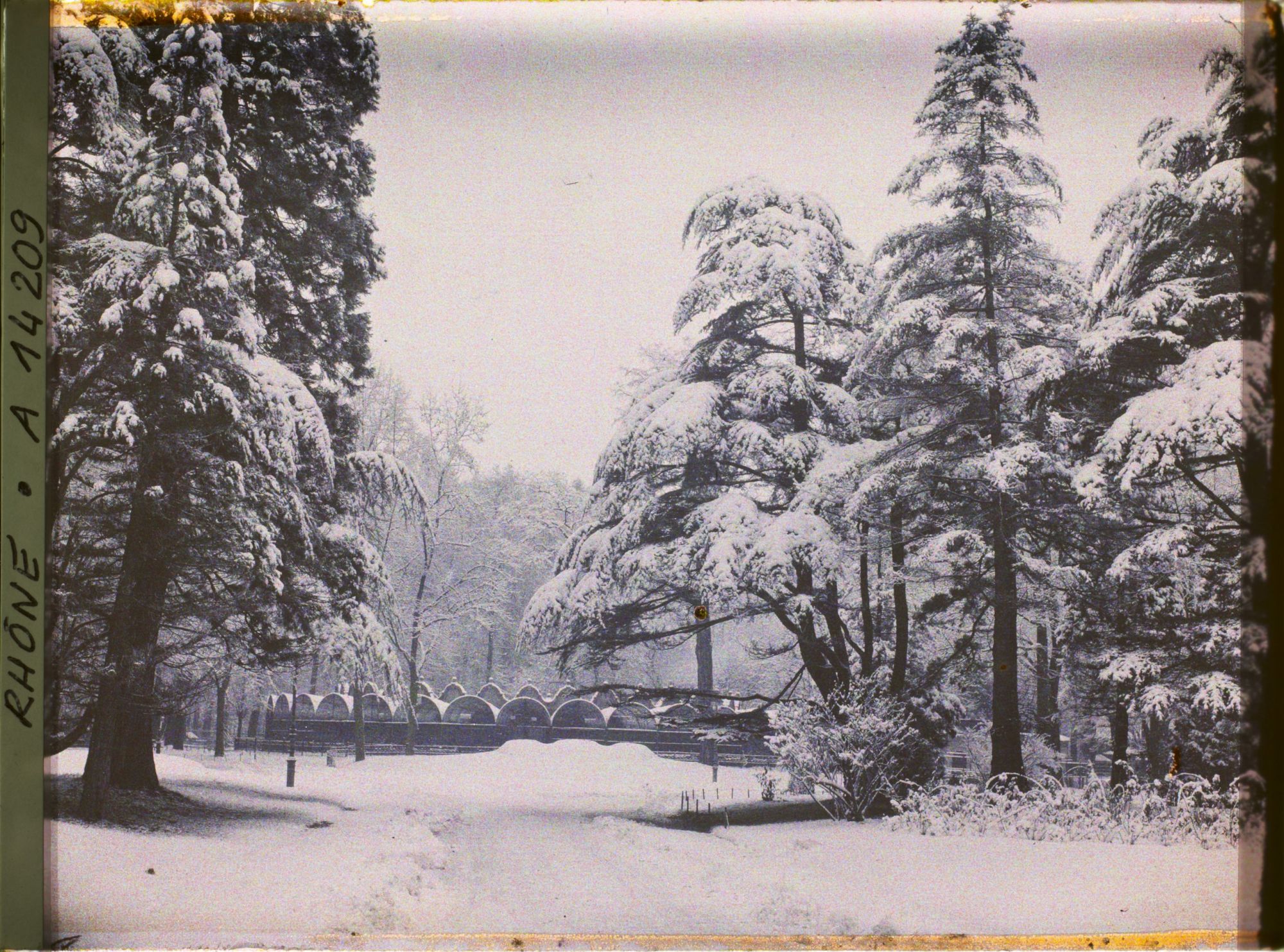 Image représentant Parc de la Tête d'Or