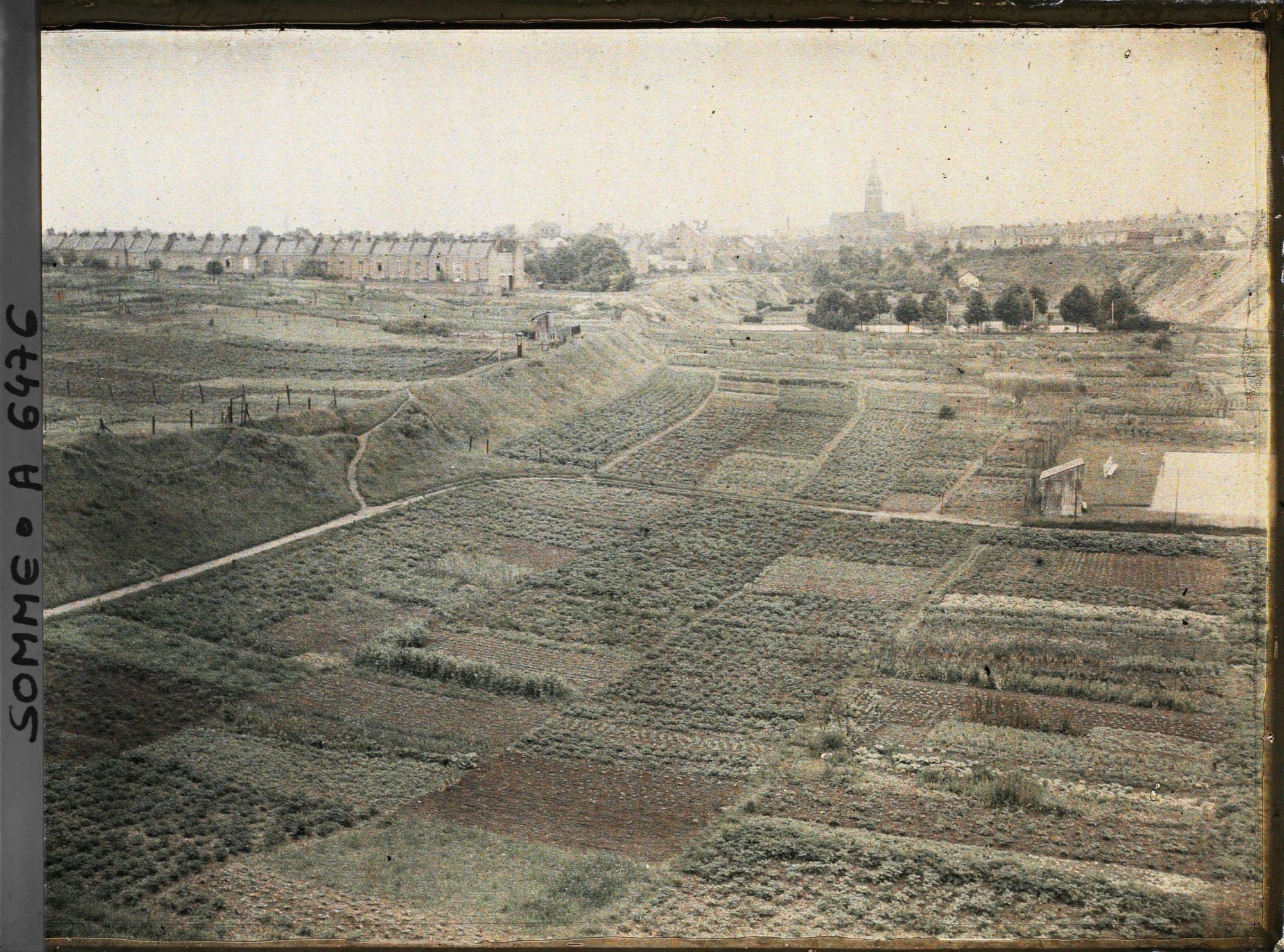 Image représentant France, Amiens, Cultures maraîchères